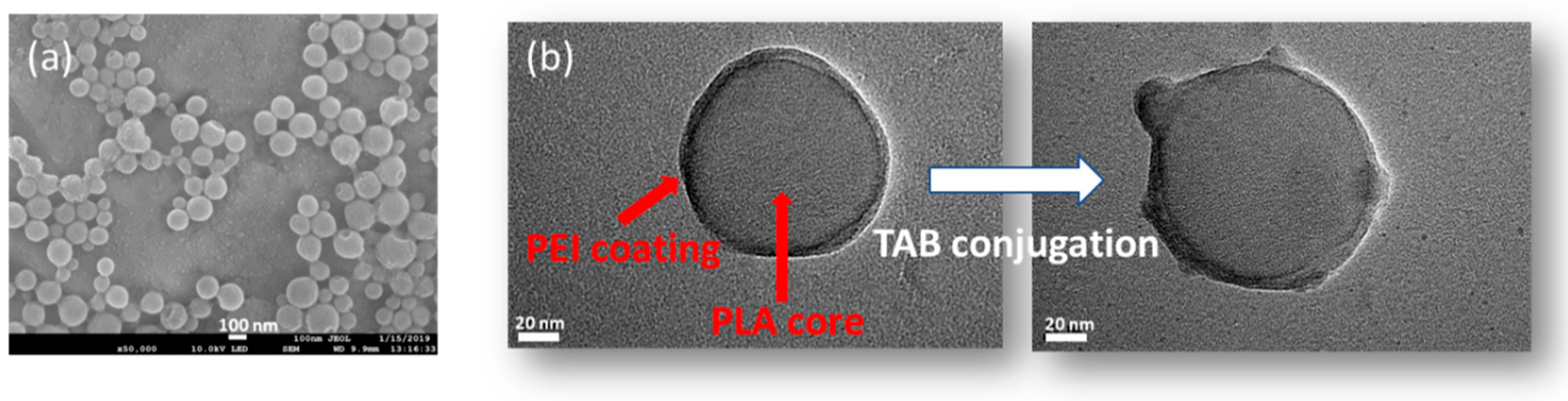 Nanomaterials 09 01793 g002 Nanomaterials 09 01793 g002