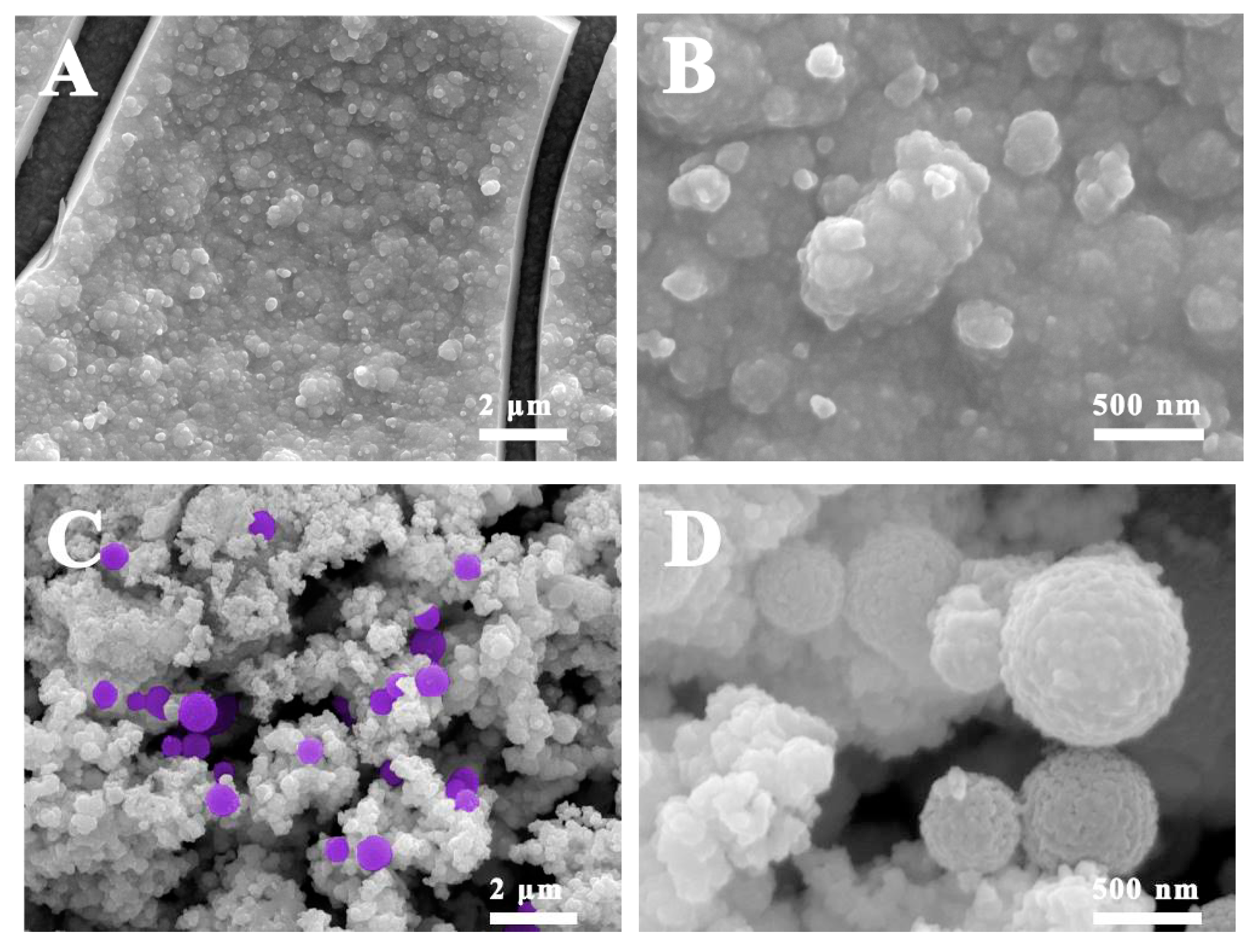 Nanomaterials 09 01795 g003