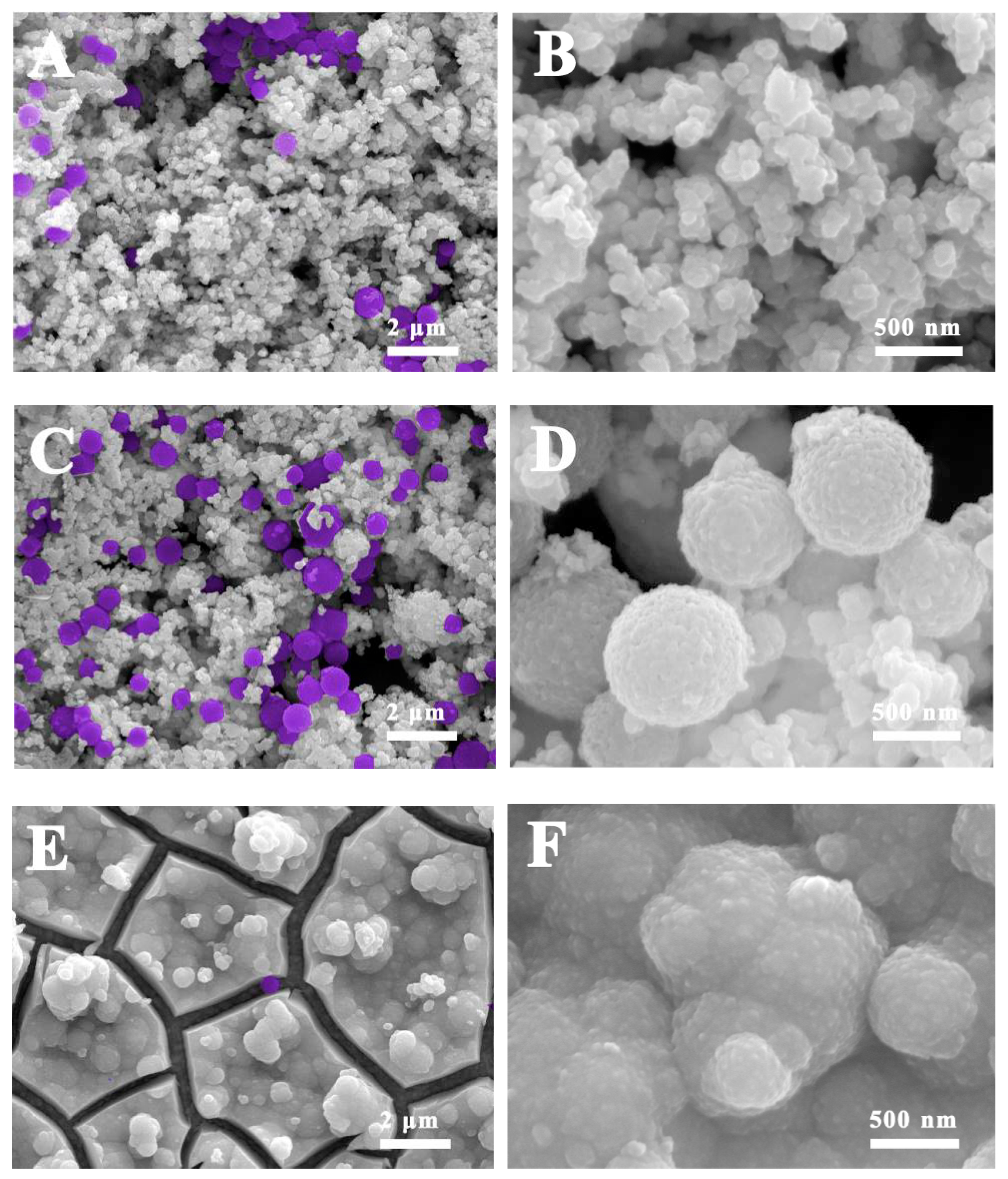 Nanomaterials 09 01795 g005