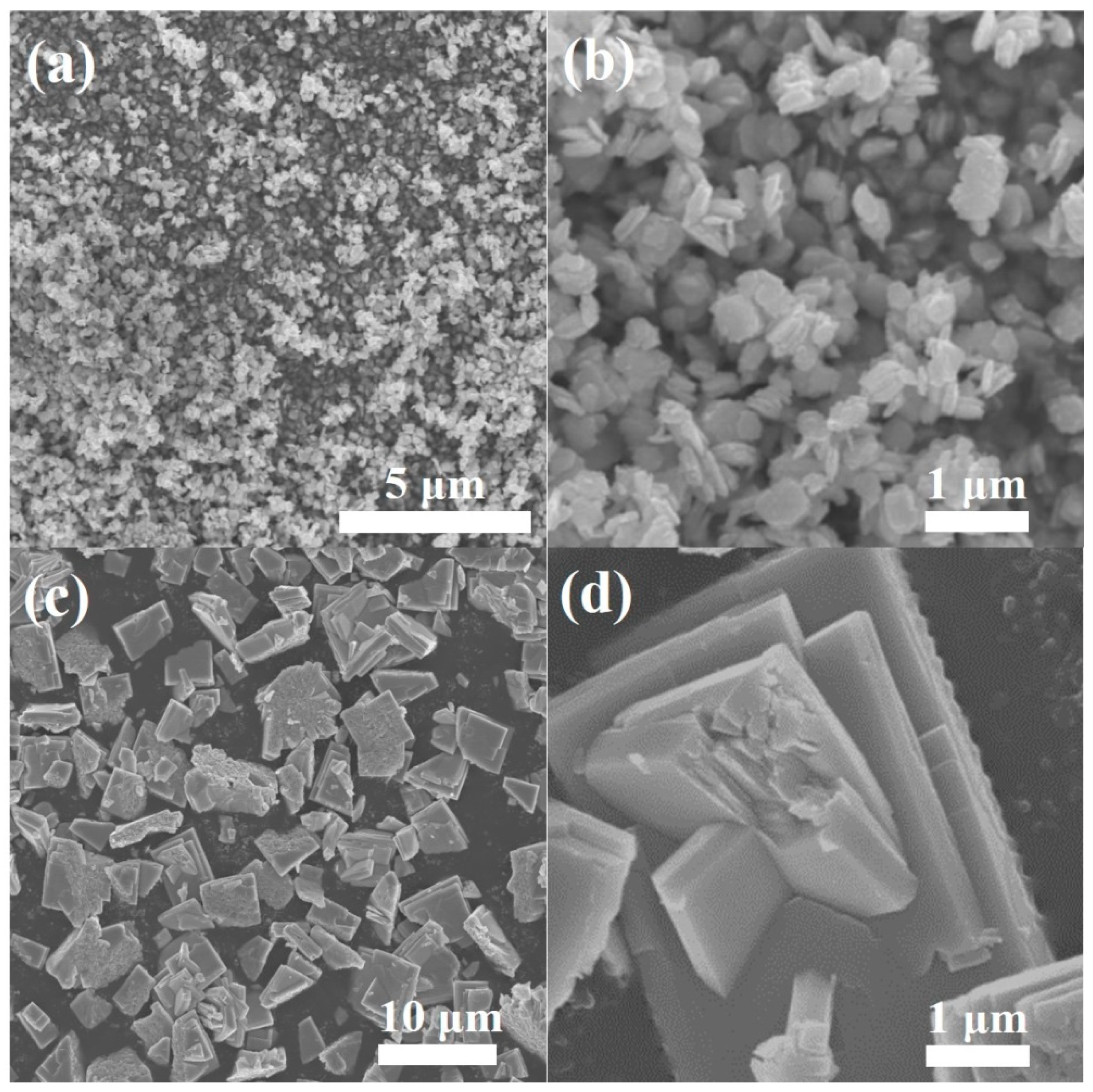Nanomaterials 09 01797 g001 Nanomaterials 09 01797 g001