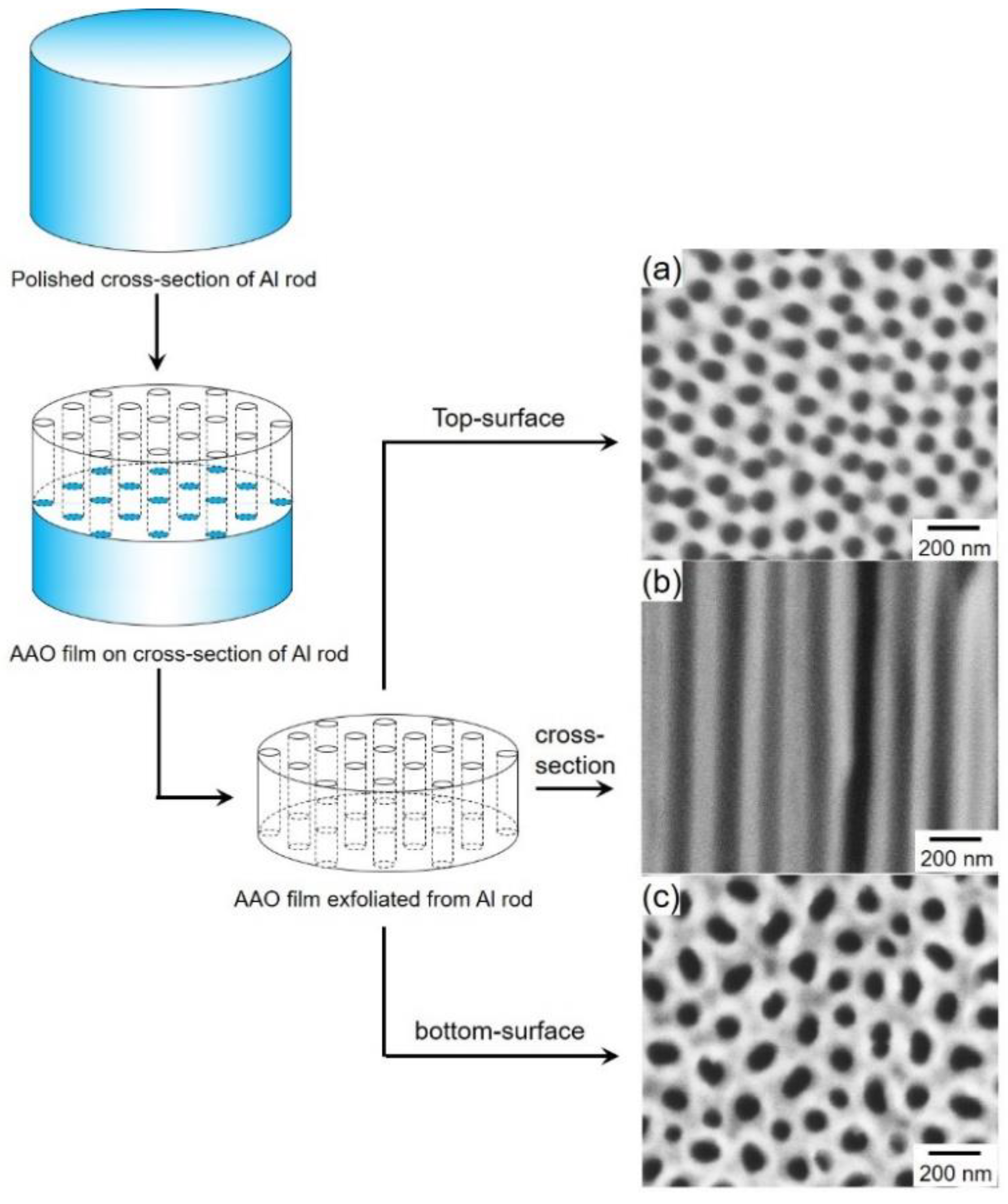 Nanomaterials 10 00005 g001 Nanomaterials 10 00005 g001