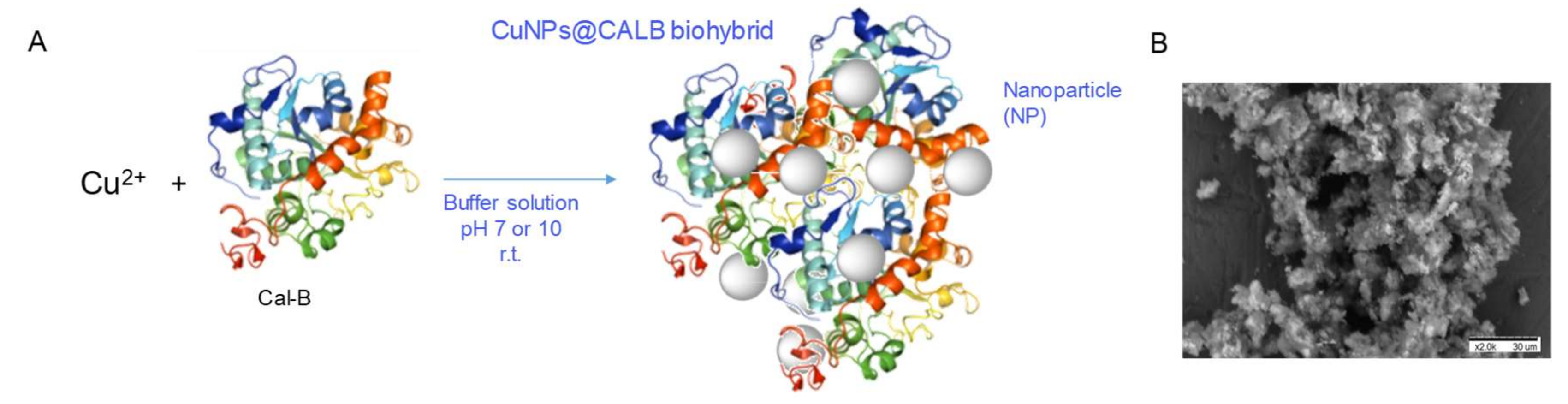 Nanomaterials 10 00007 g001 Nanomaterials 10 00007 g001