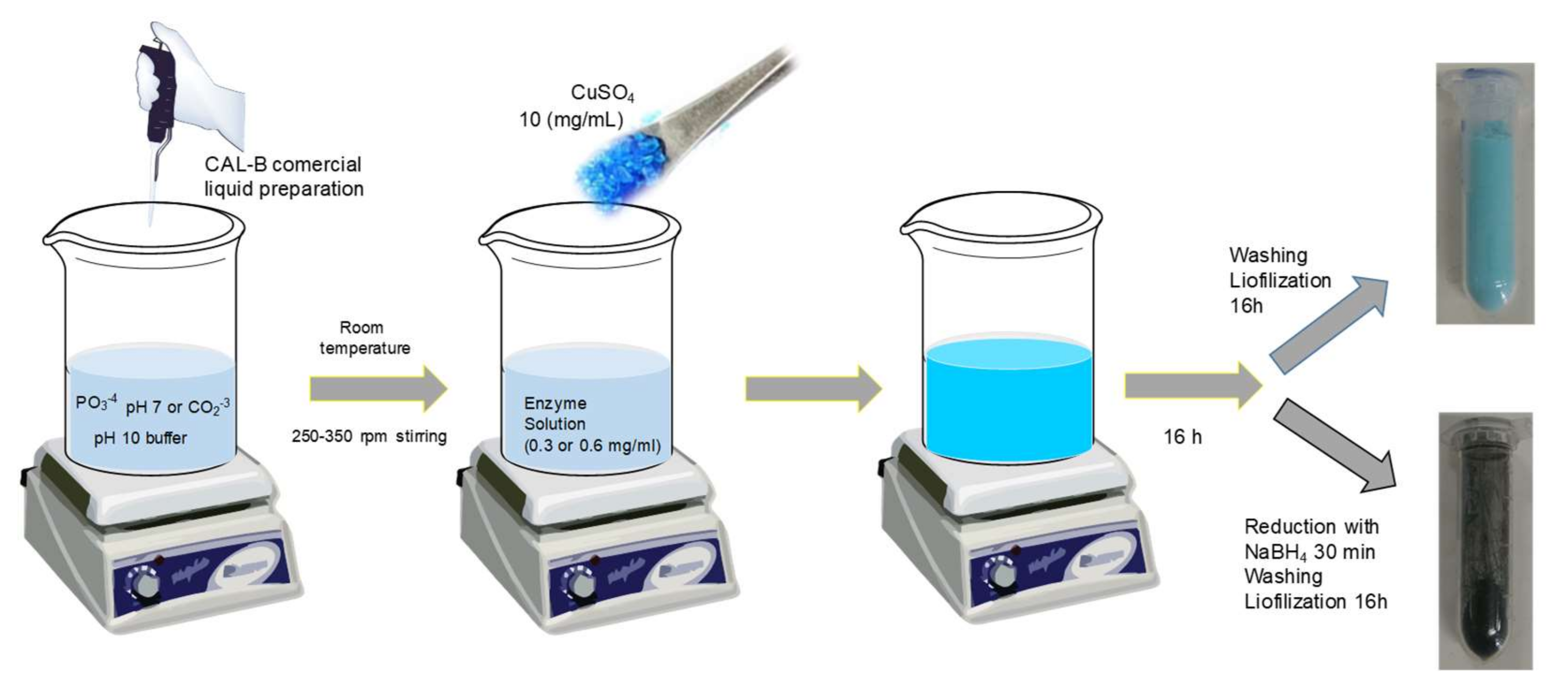 Nanomaterials 10 00007 sch001 Nanomaterials 10 00007 sch001