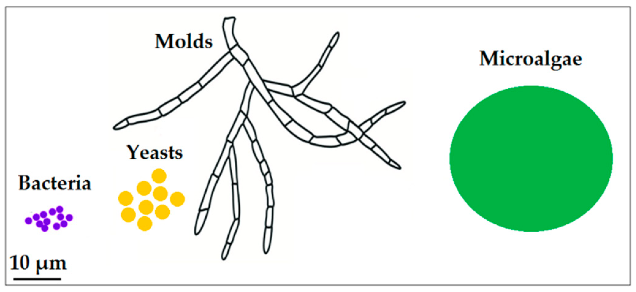 Nanomaterials, Free Full-Text