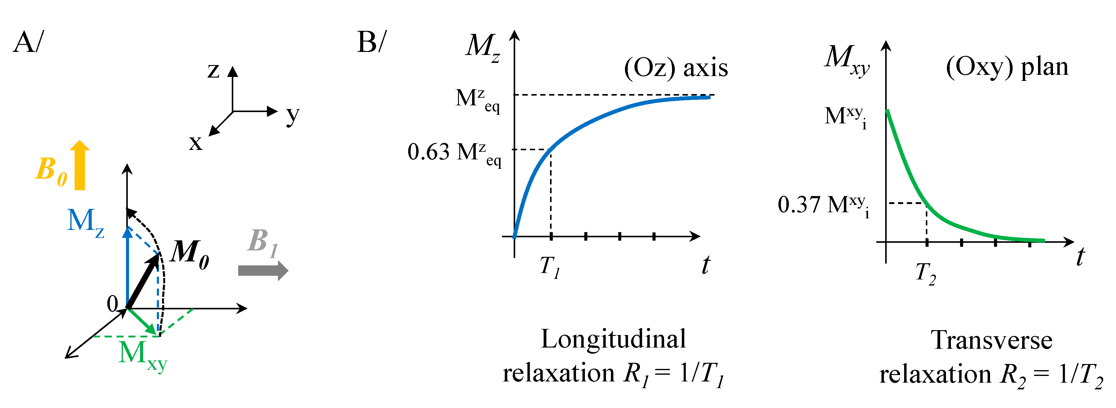 Nanomaterials 10 00028 g002