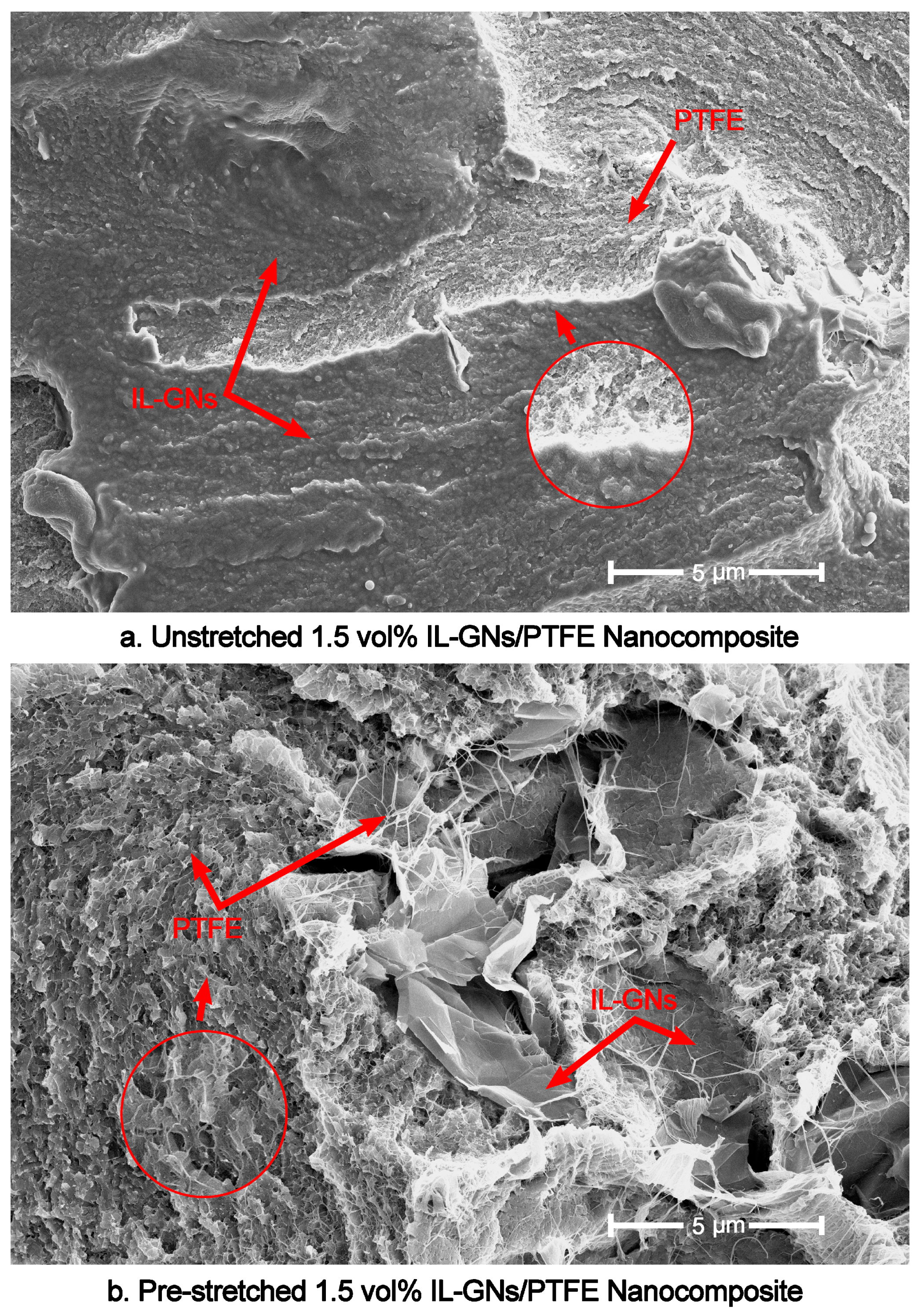 Nanomaterials 10 00040 g005