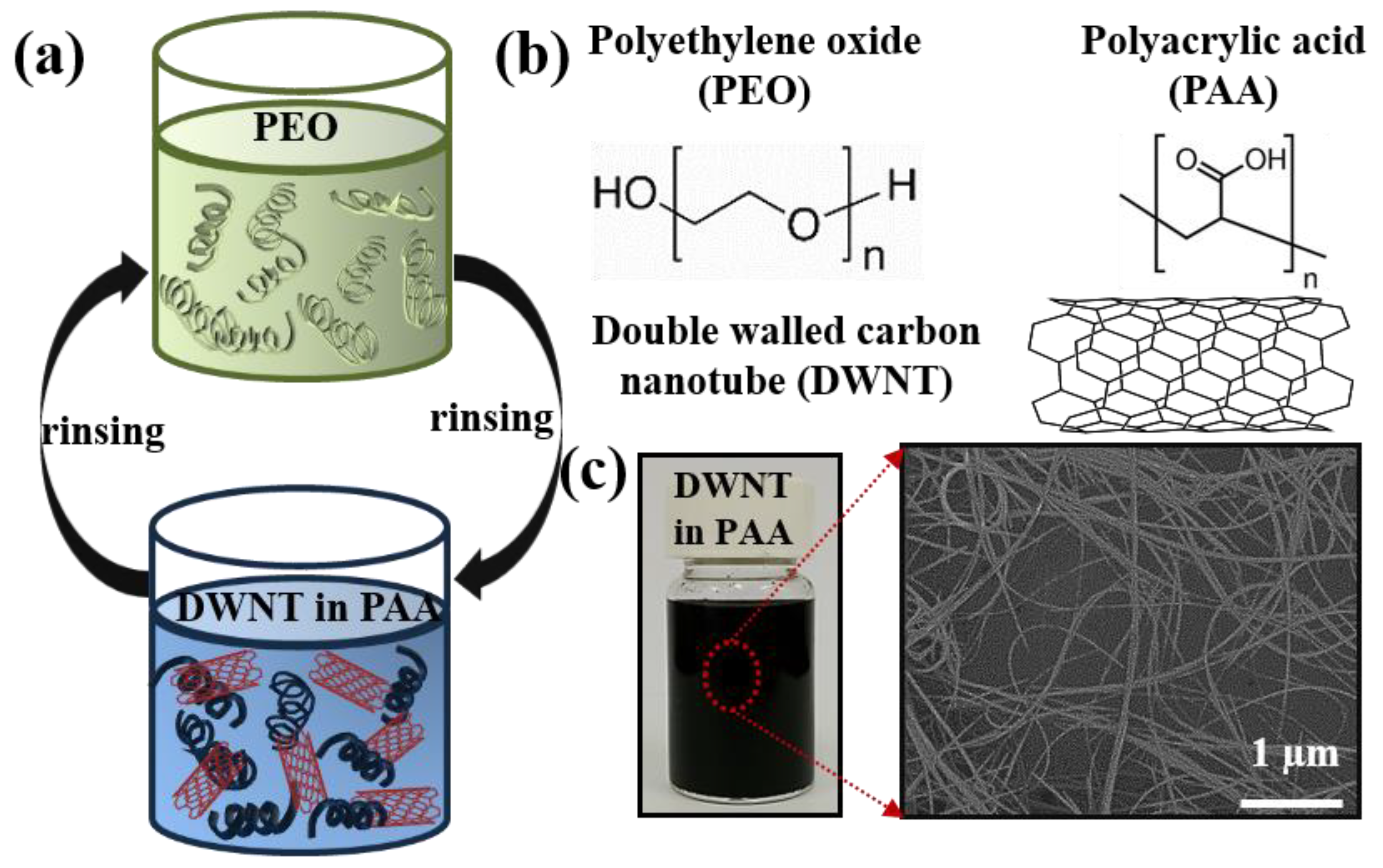 Nanomaterials 10 00041 g001