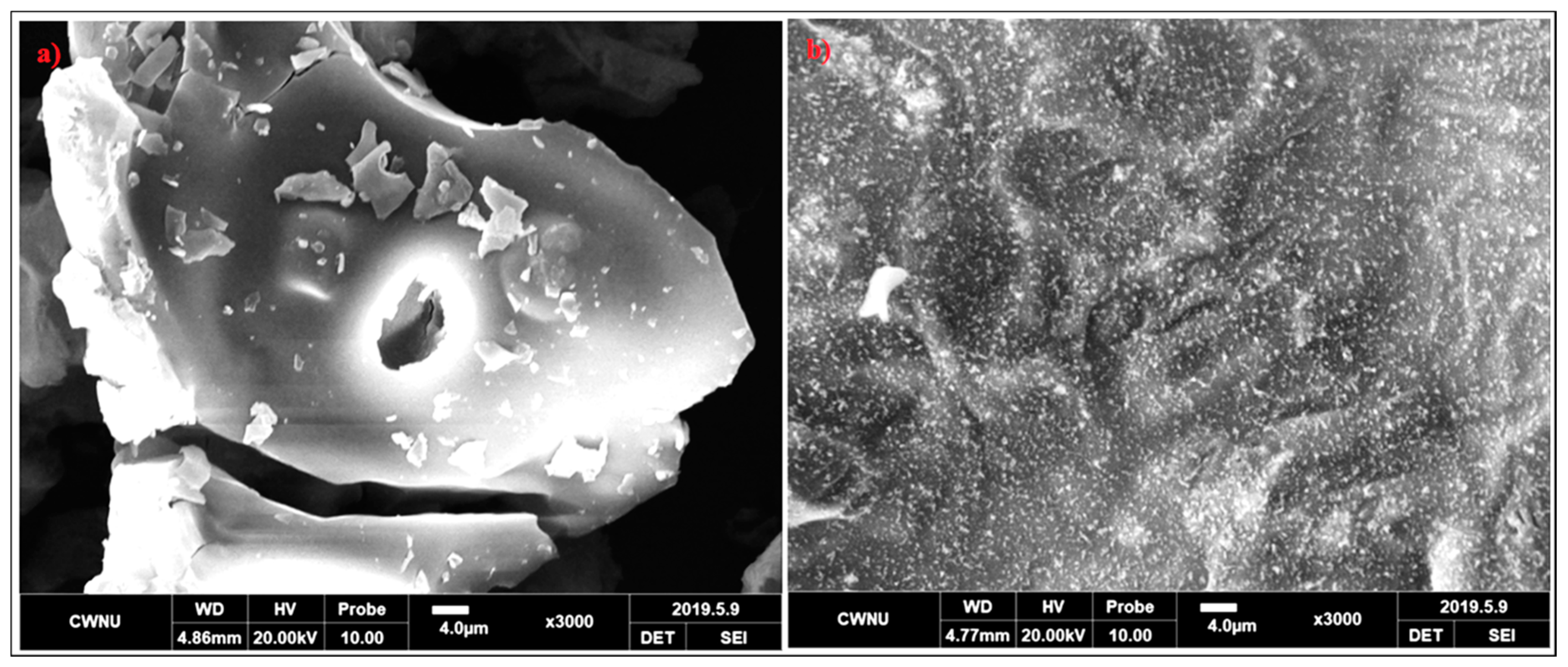Nanomaterials 10 00042 g012