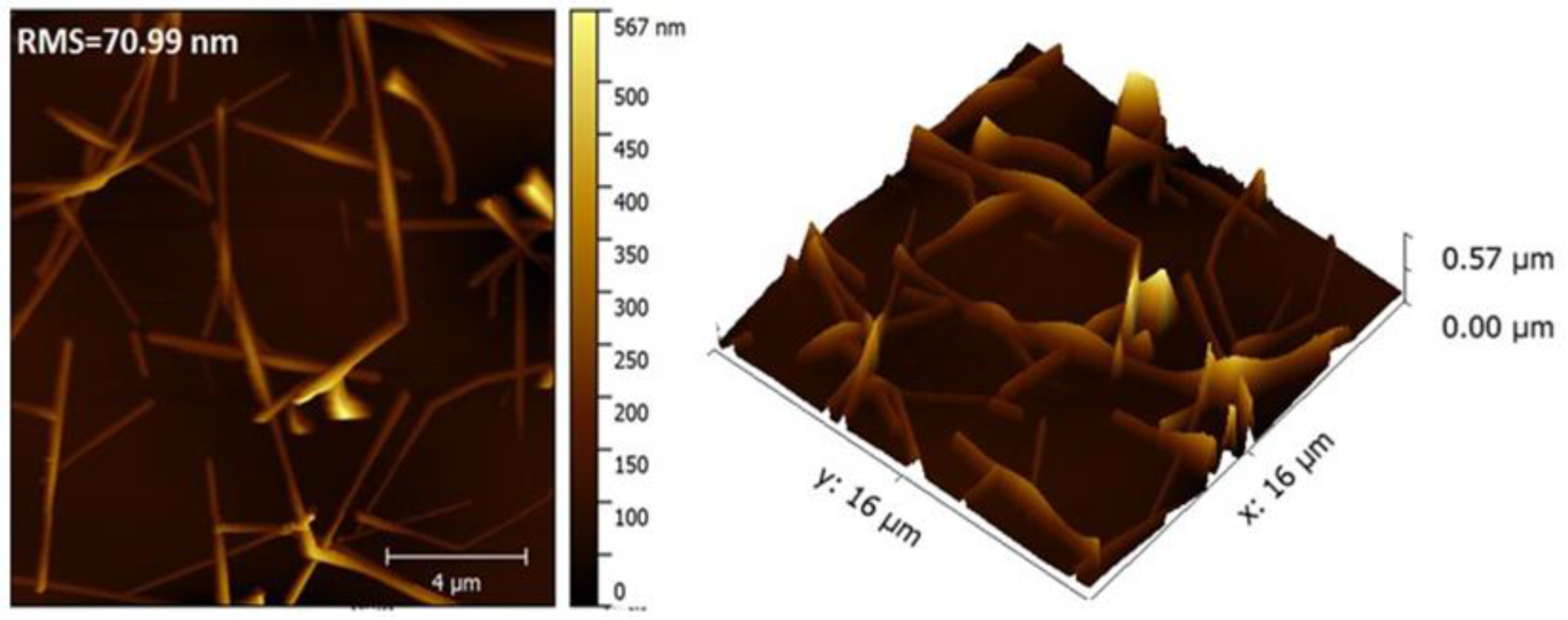 Nanomaterials 10 00046 g005 Nanomaterials 10 00046 g005