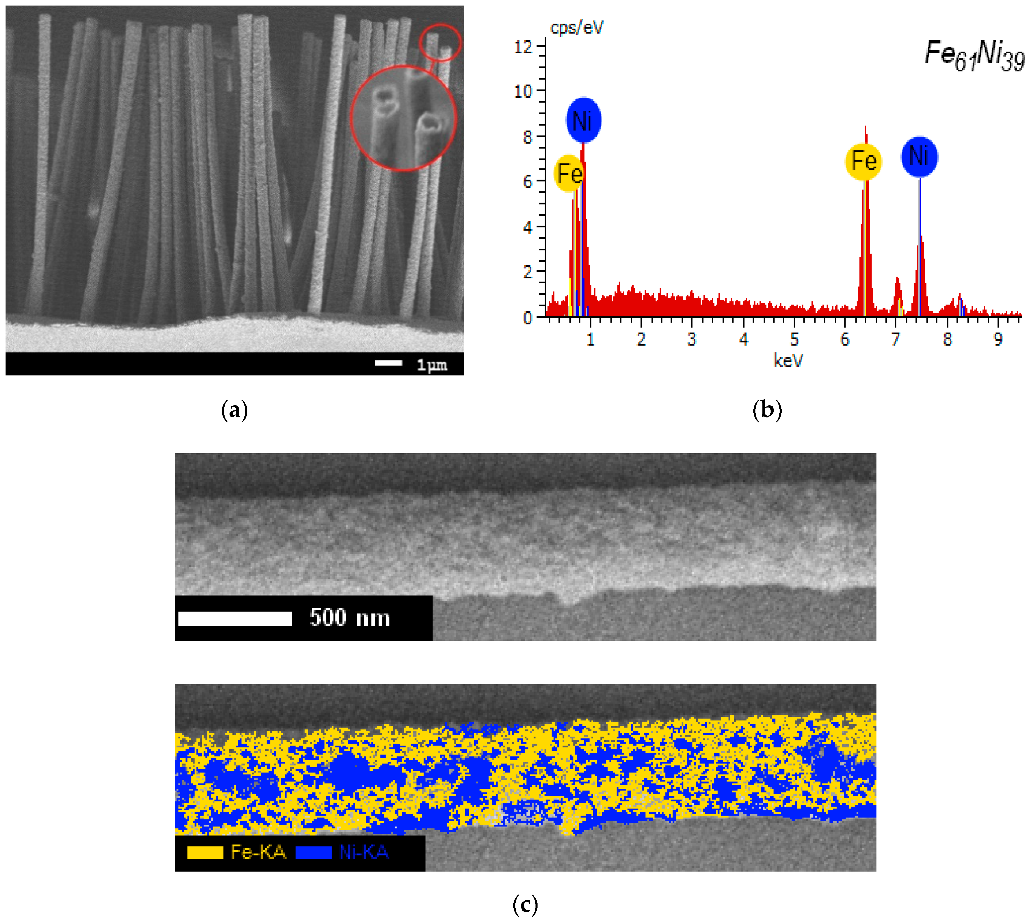 Nanomaterials 10 00047 g001a