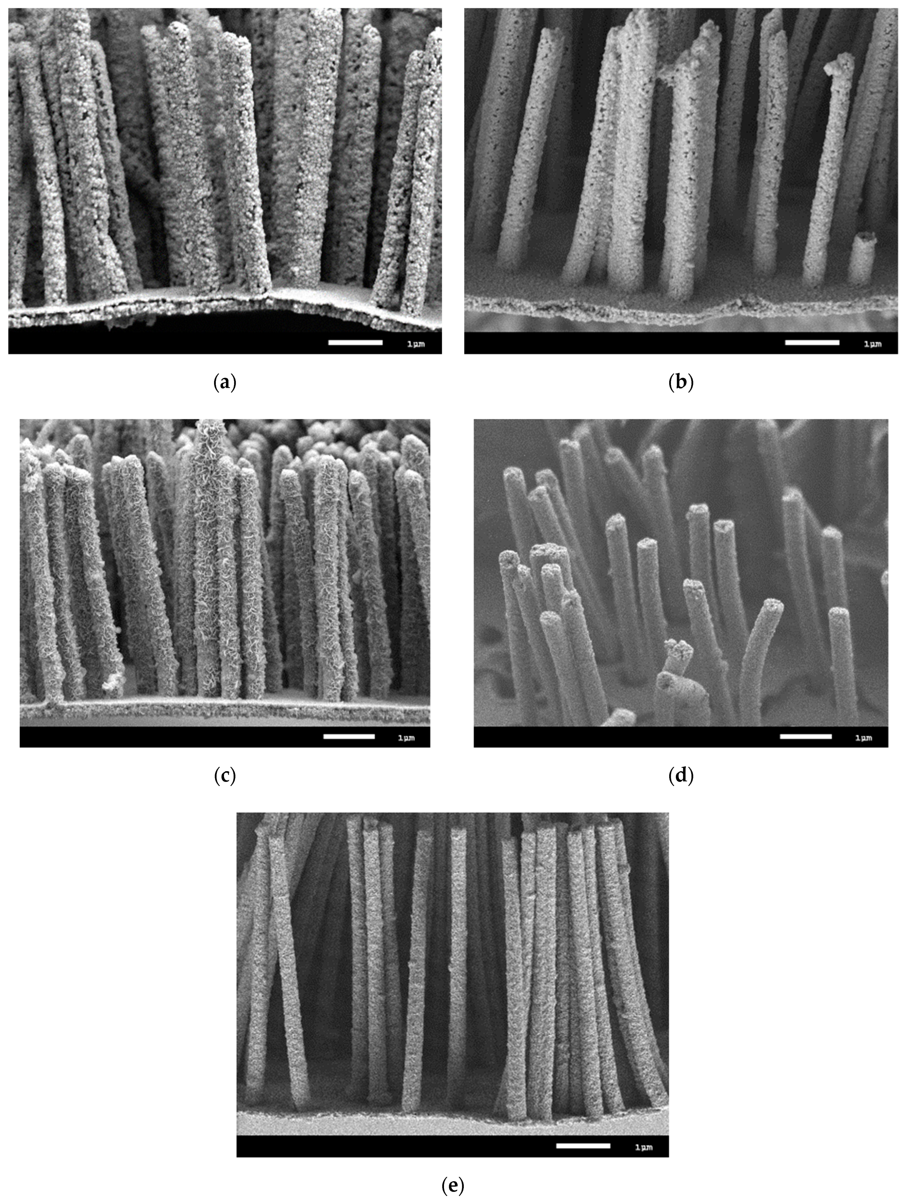 Nanomaterials 10 00047 g008