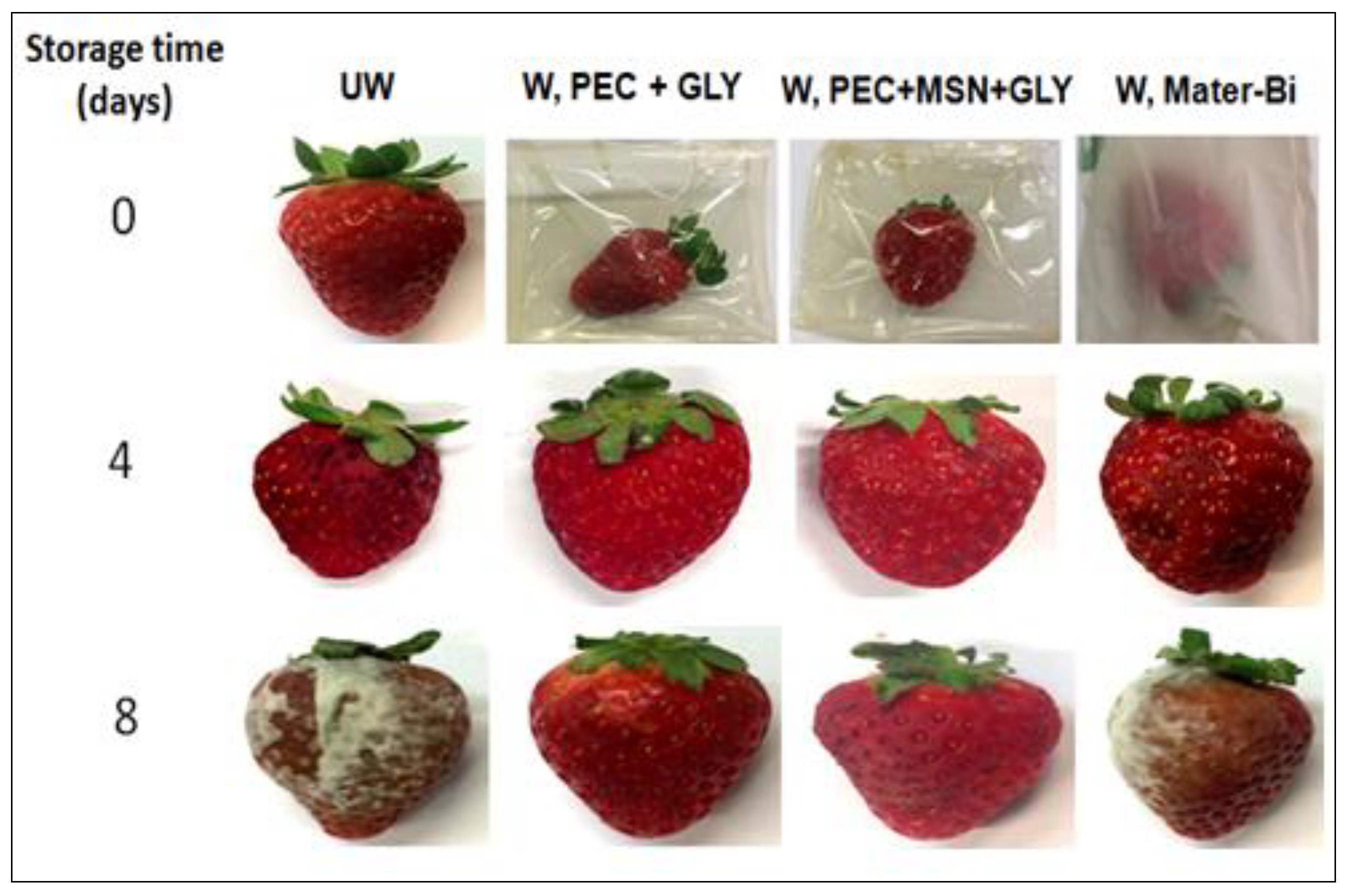 Nanomaterials 10 00052 g009 Nanomaterials 10 00052 g009