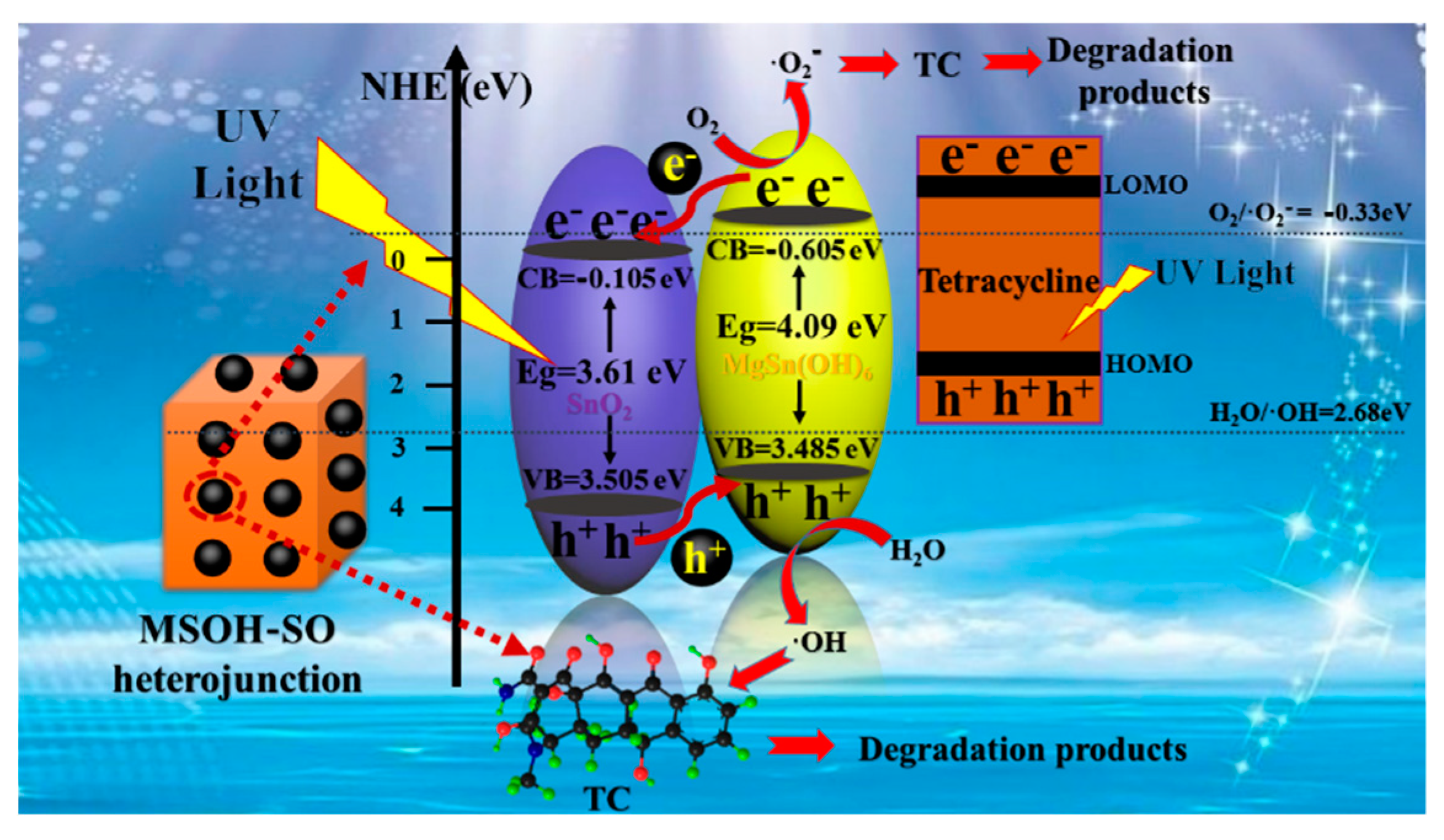 Nanomaterials 10 00053 g008