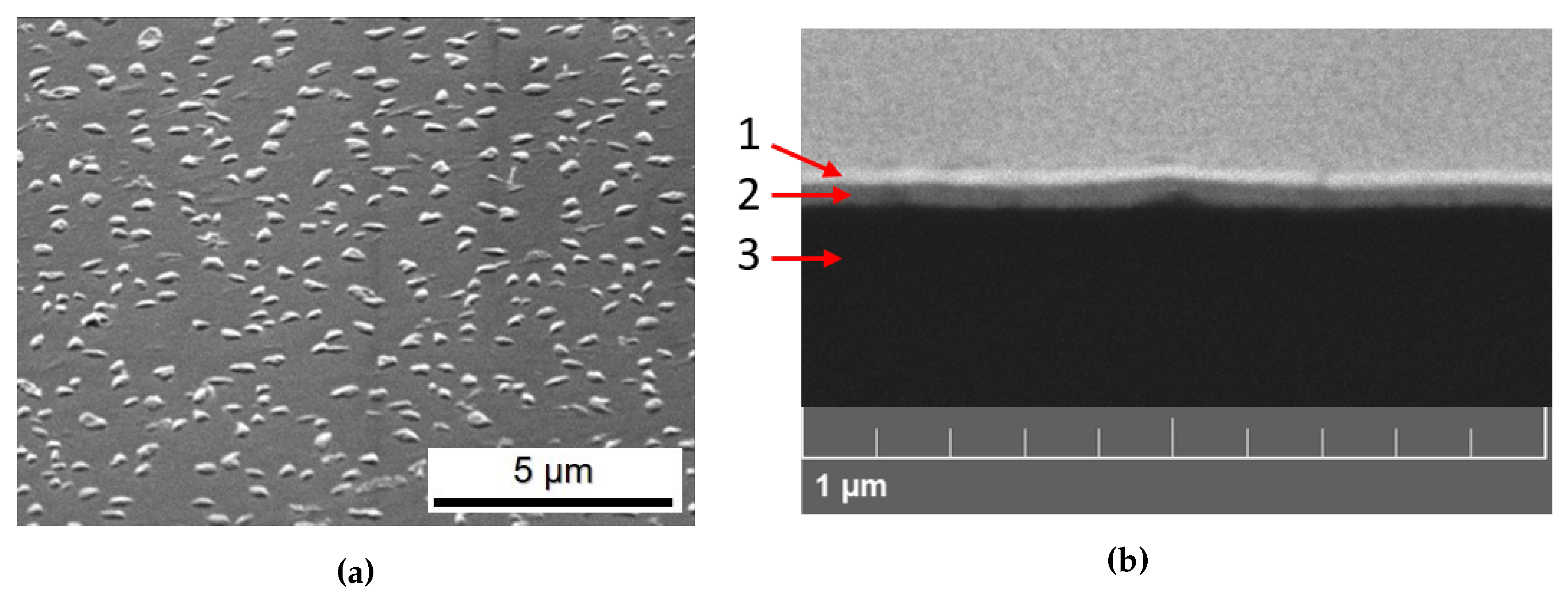 Nanomaterials 10 00060 g002