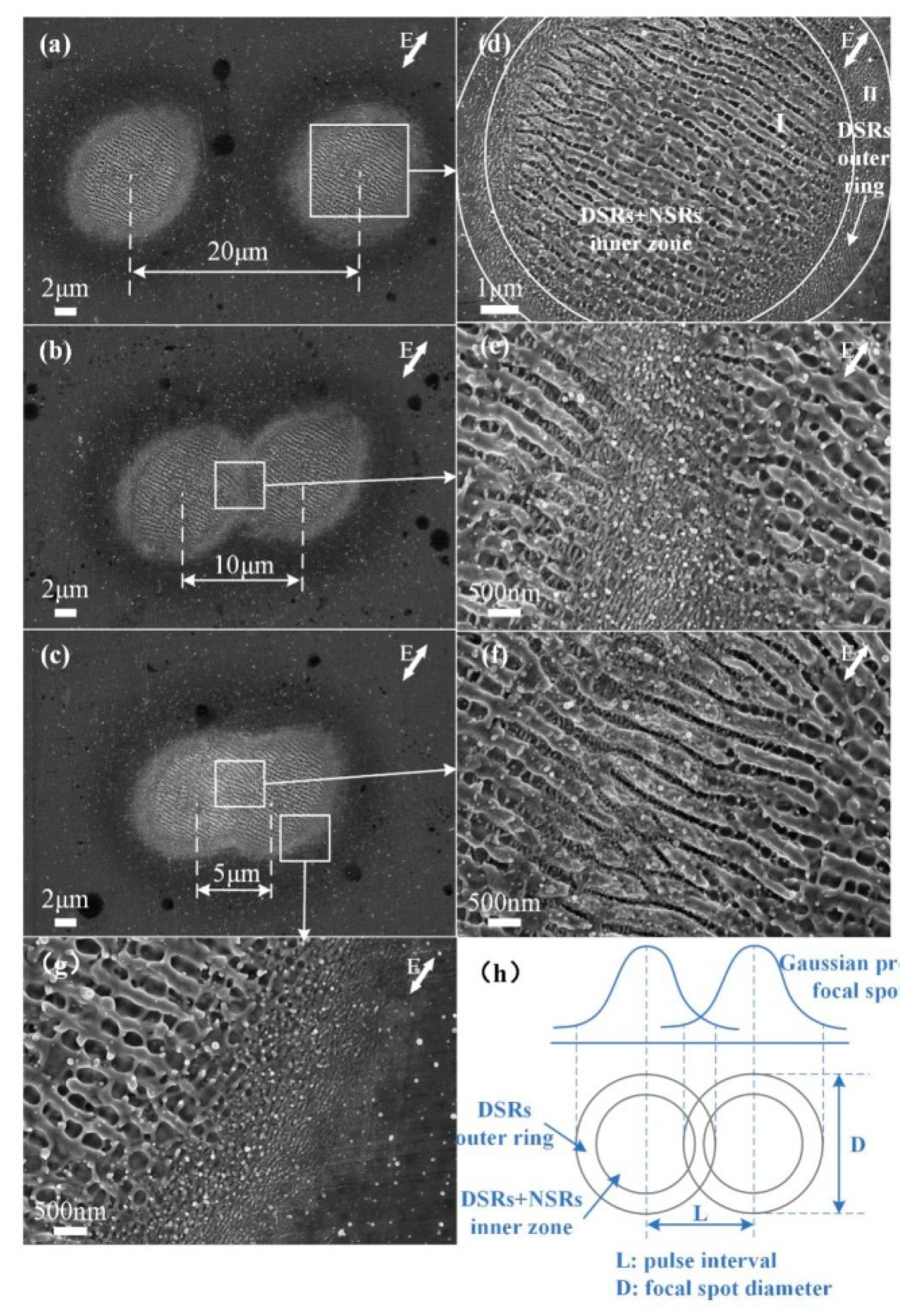 Nanomaterials 10 00062 g002