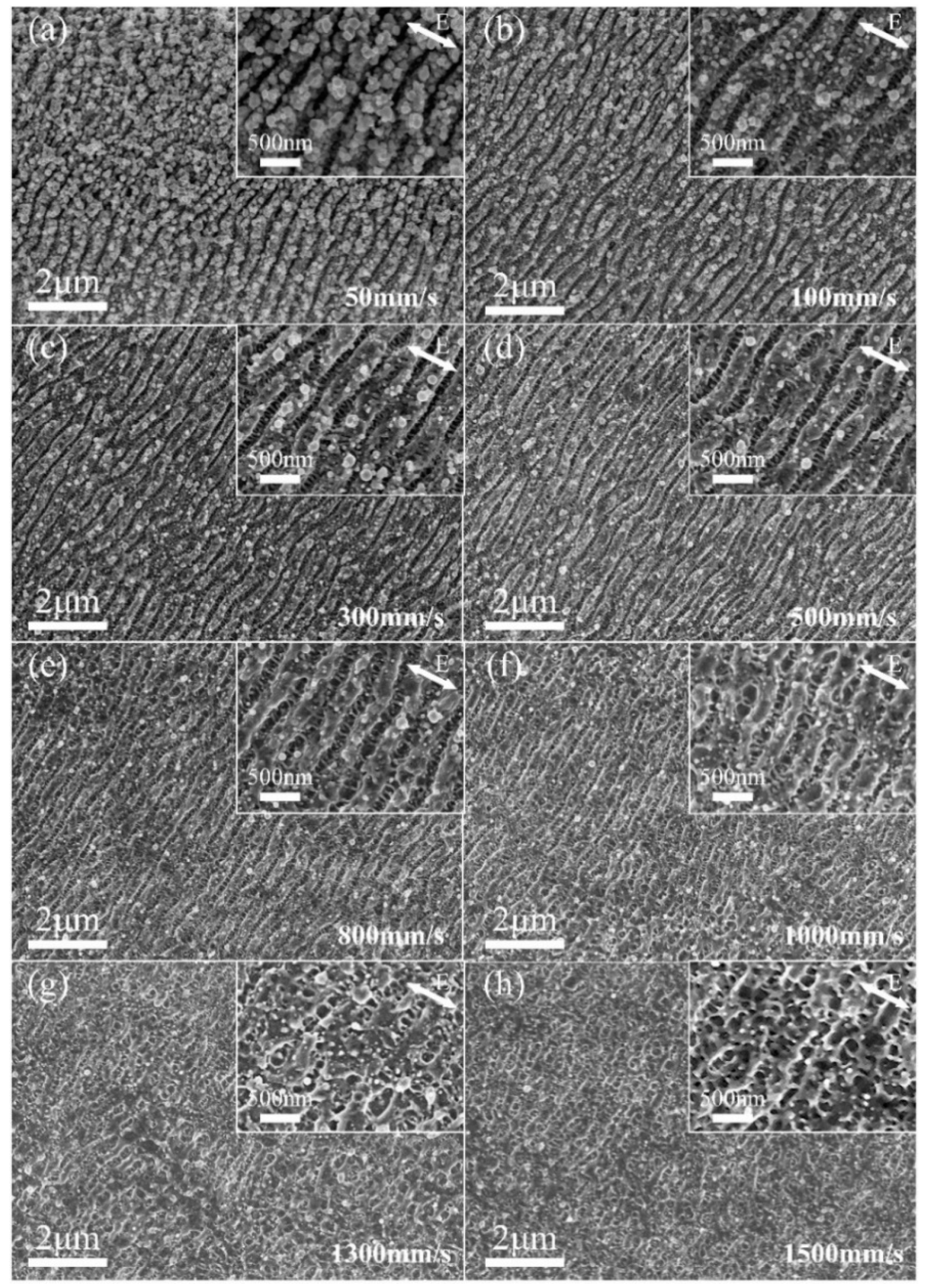 Nanomaterials 10 00062 g003