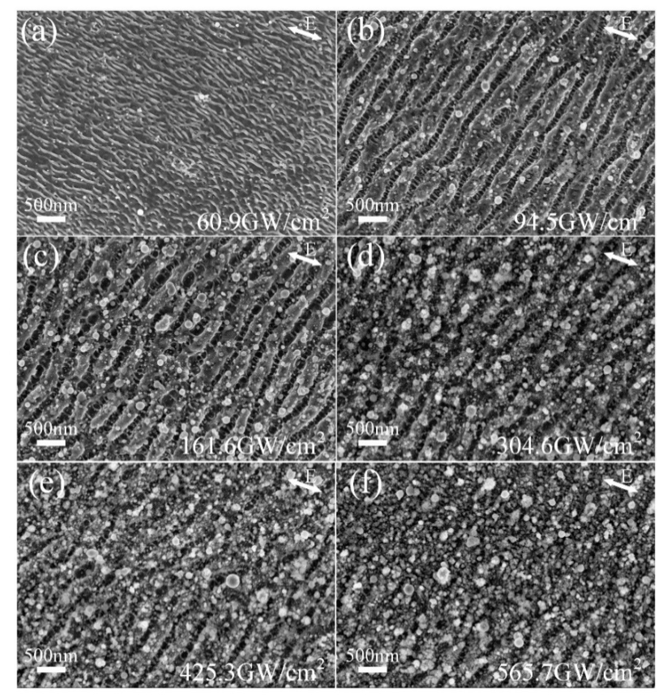 Nanomaterials 10 00062 g005