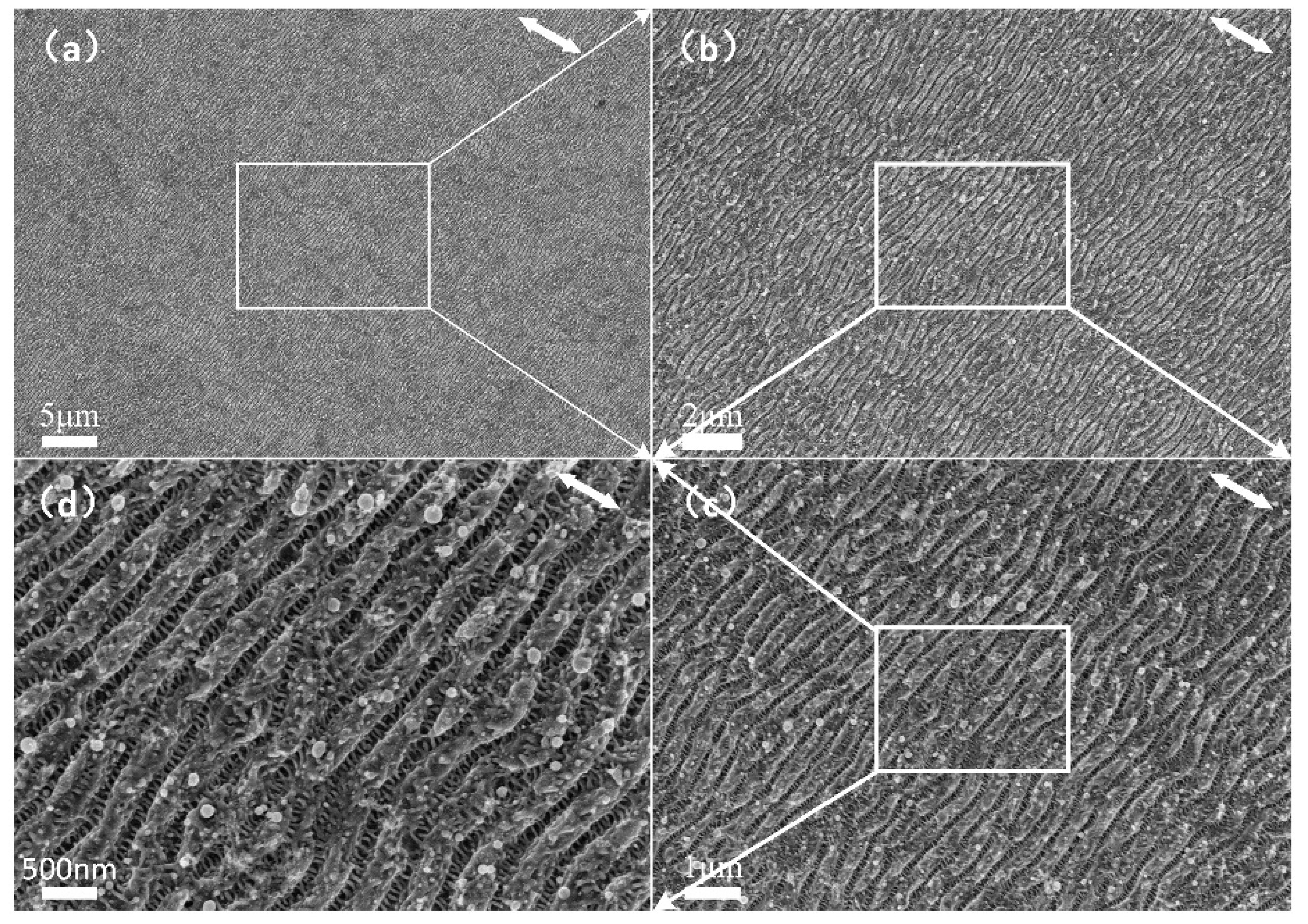 Nanomaterials 10 00062 g007