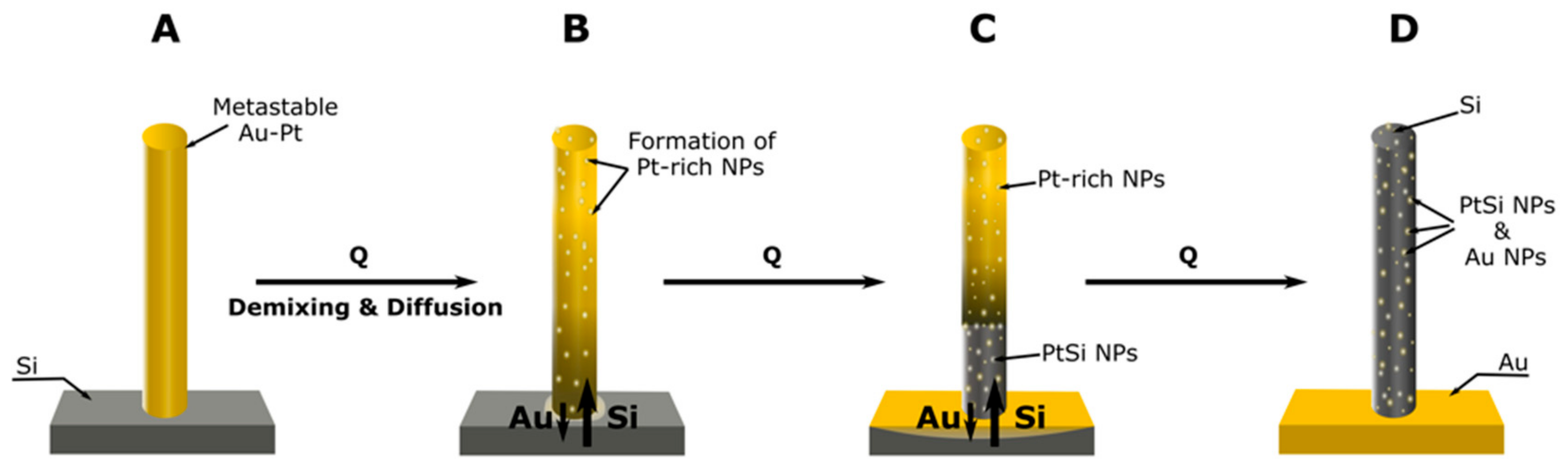 Nanomaterials 10 00068 g007