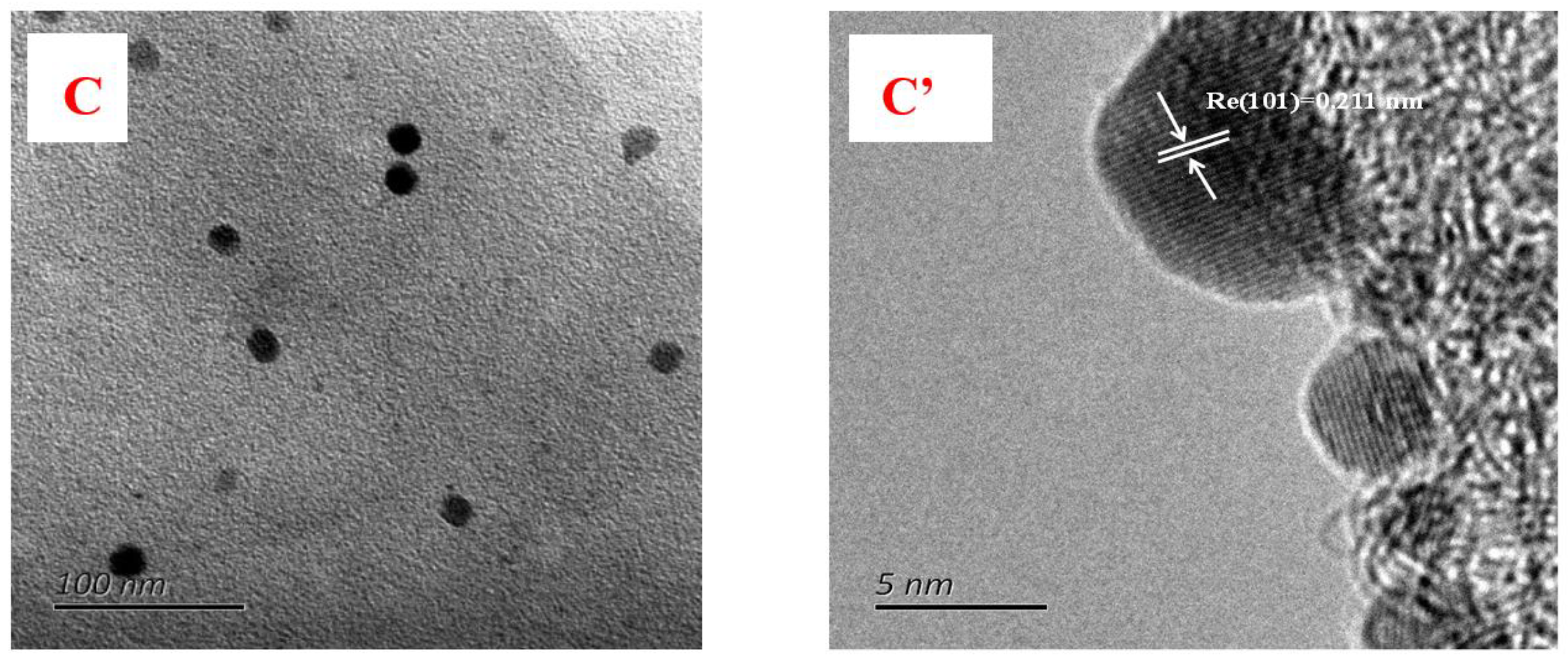 Nanomaterials 10 00073 g002b