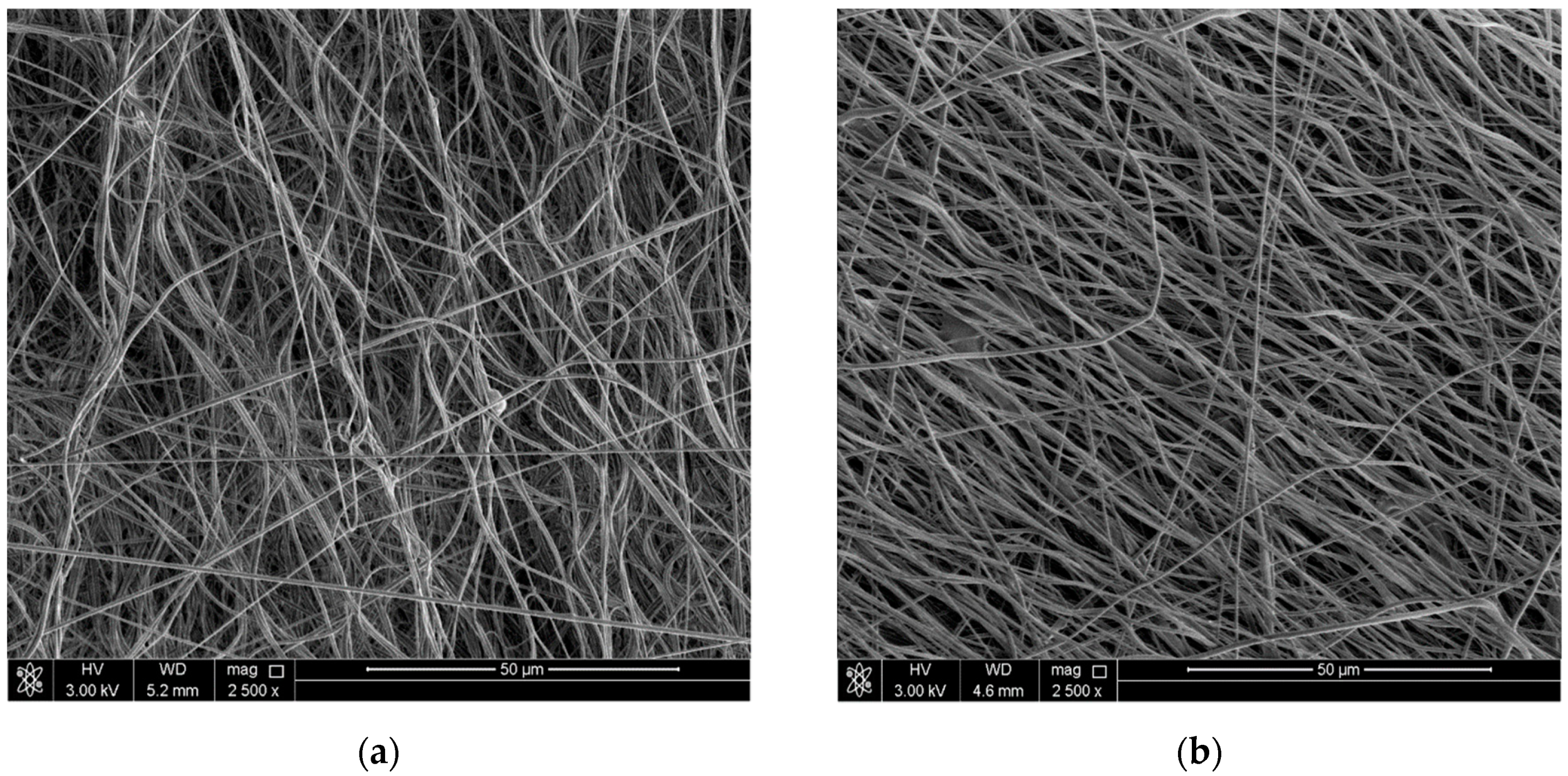 Nanomaterials 10 00077 g006 Nanomaterials 10 00077 g006