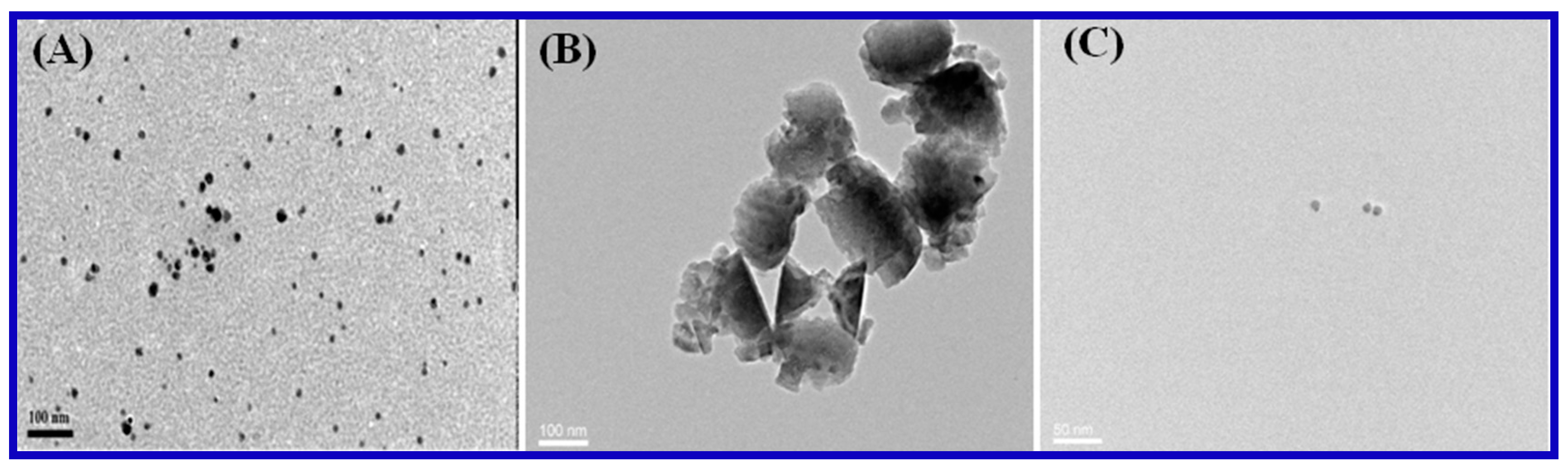Nanomaterials 10 00083 g009 Nanomaterials 10 00083 g009