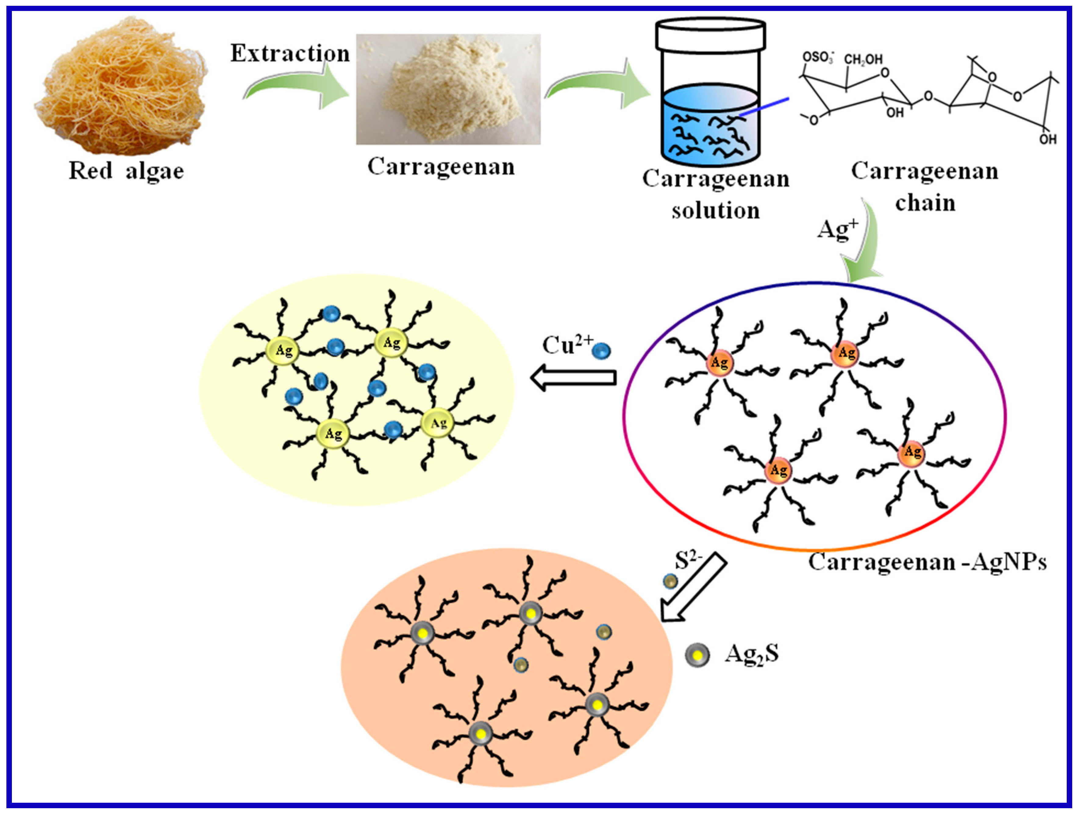 Nanomaterials 10 00083 sch001 Nanomaterials 10 00083 sch001