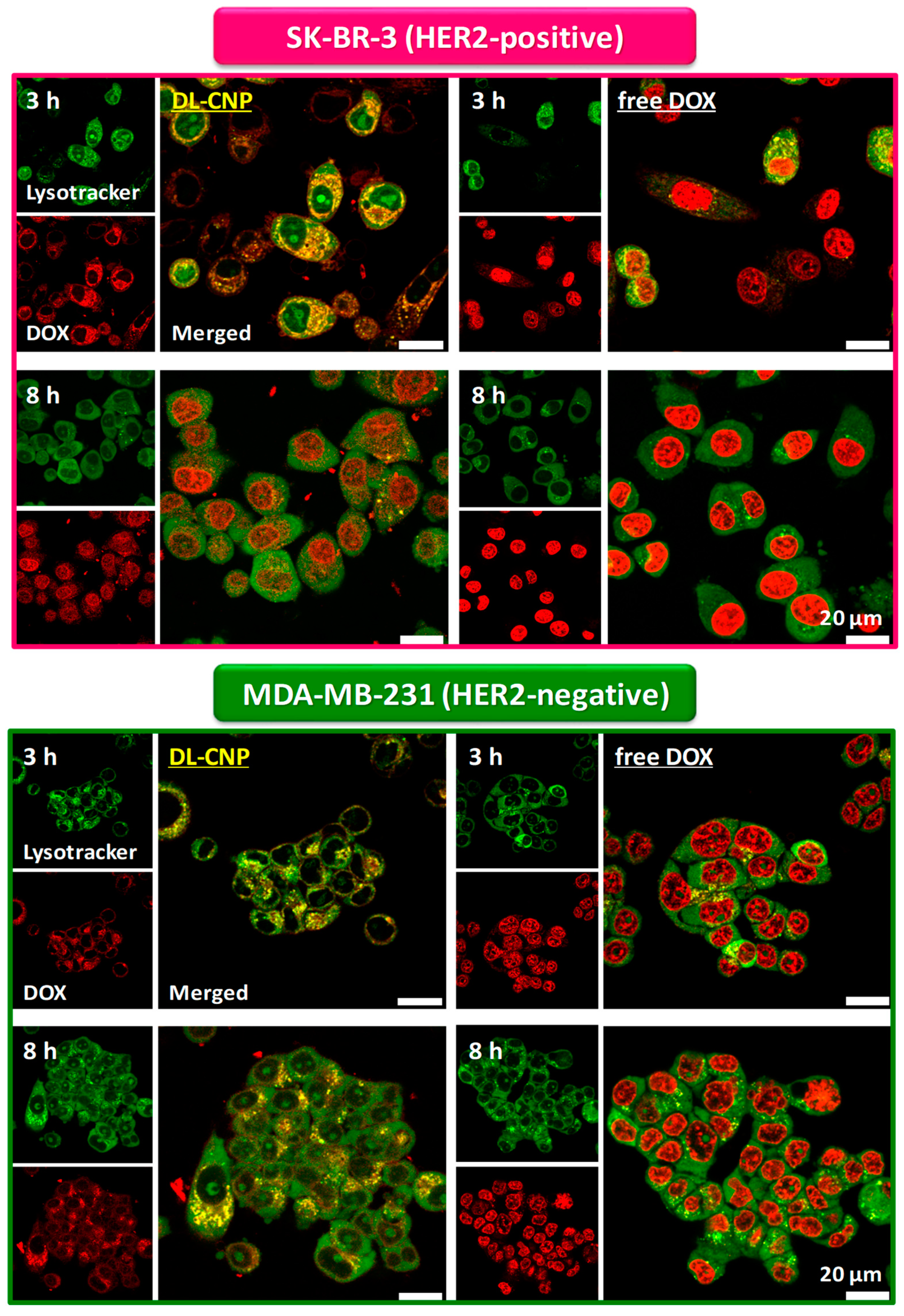 Nanomaterials 10 00091 g004 Nanomaterials 10 00091 g004