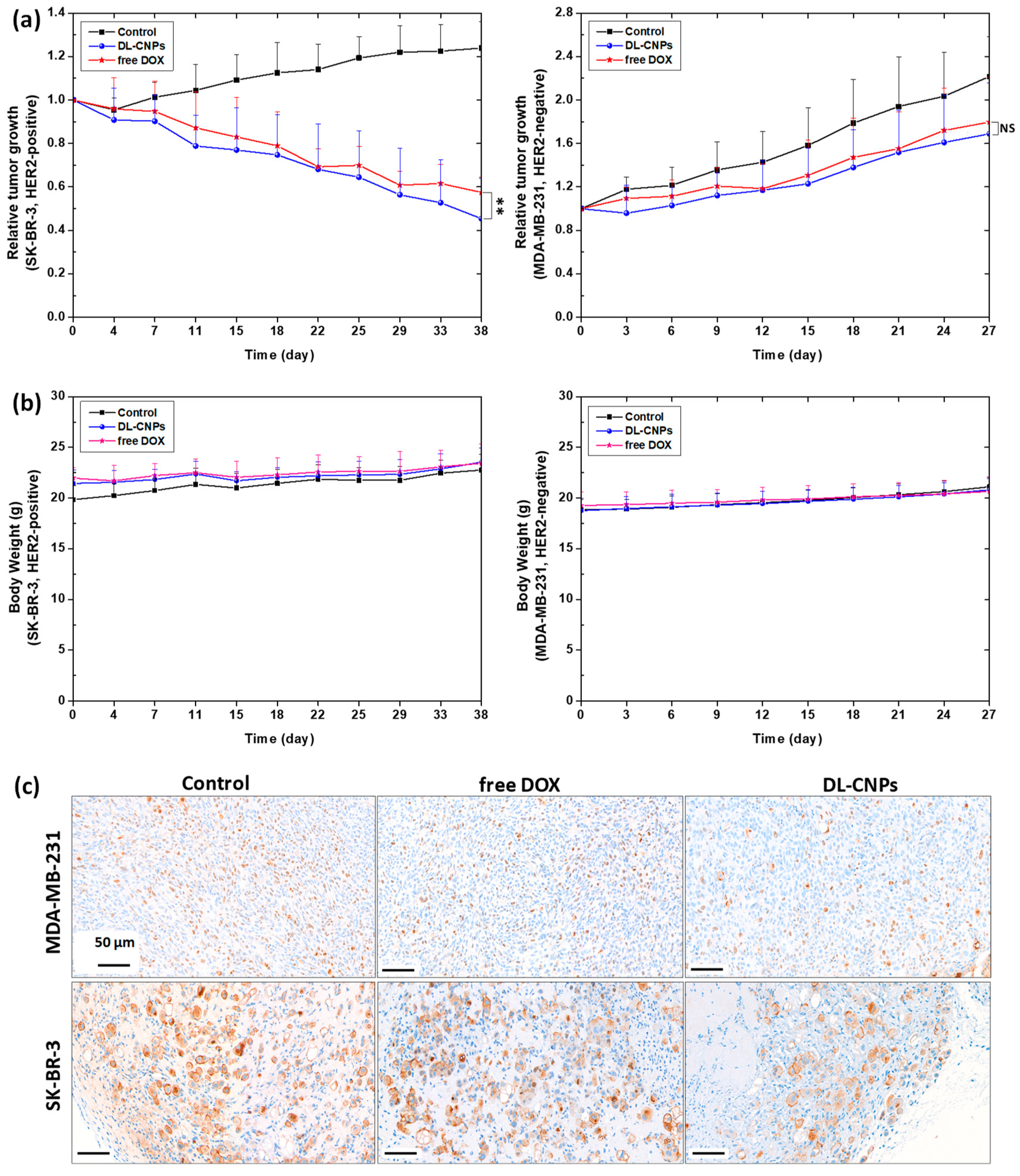 Nanomaterials 10 00091 g005 Nanomaterials 10 00091 g005