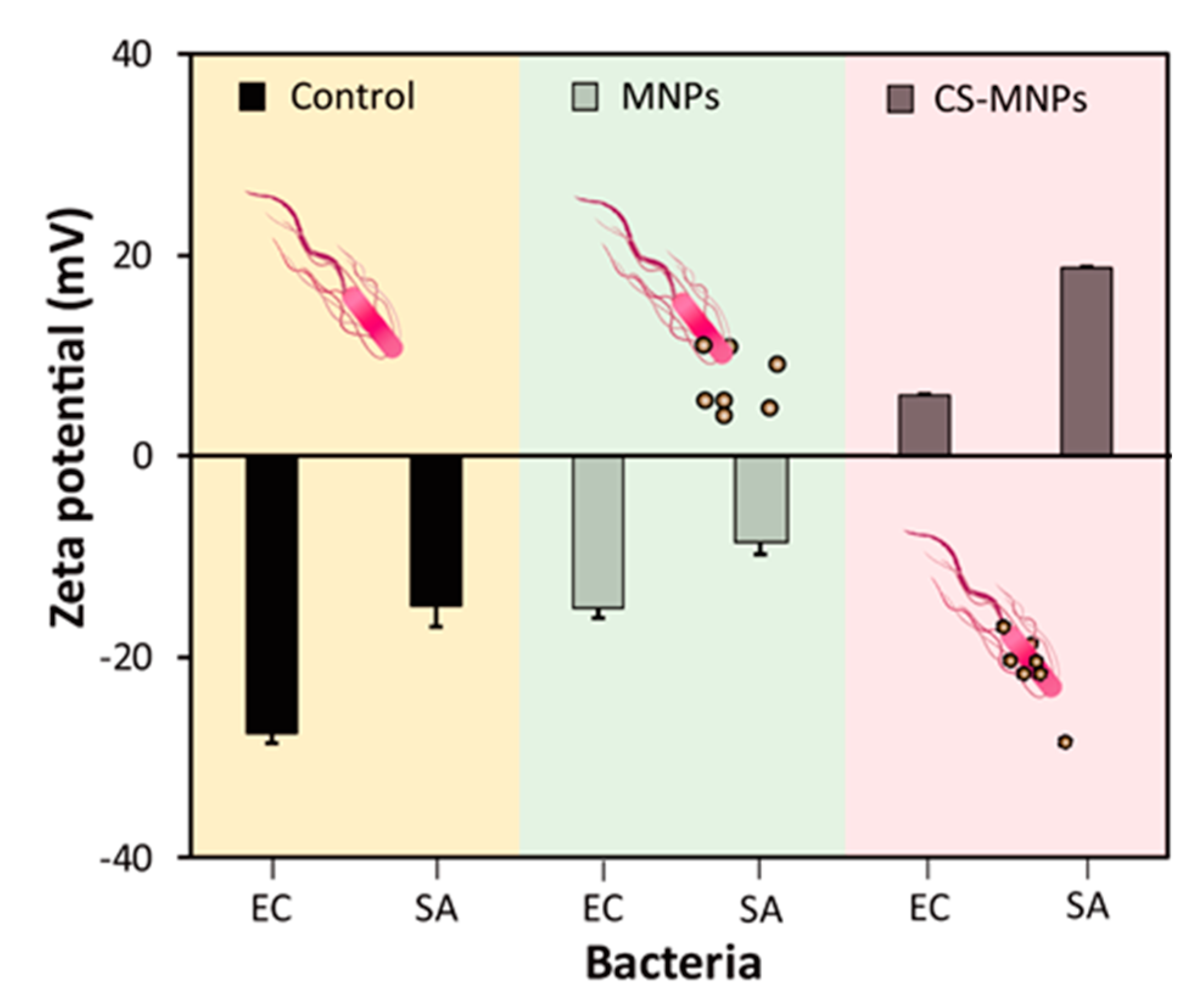 Nanomaterials 10 00092 g007