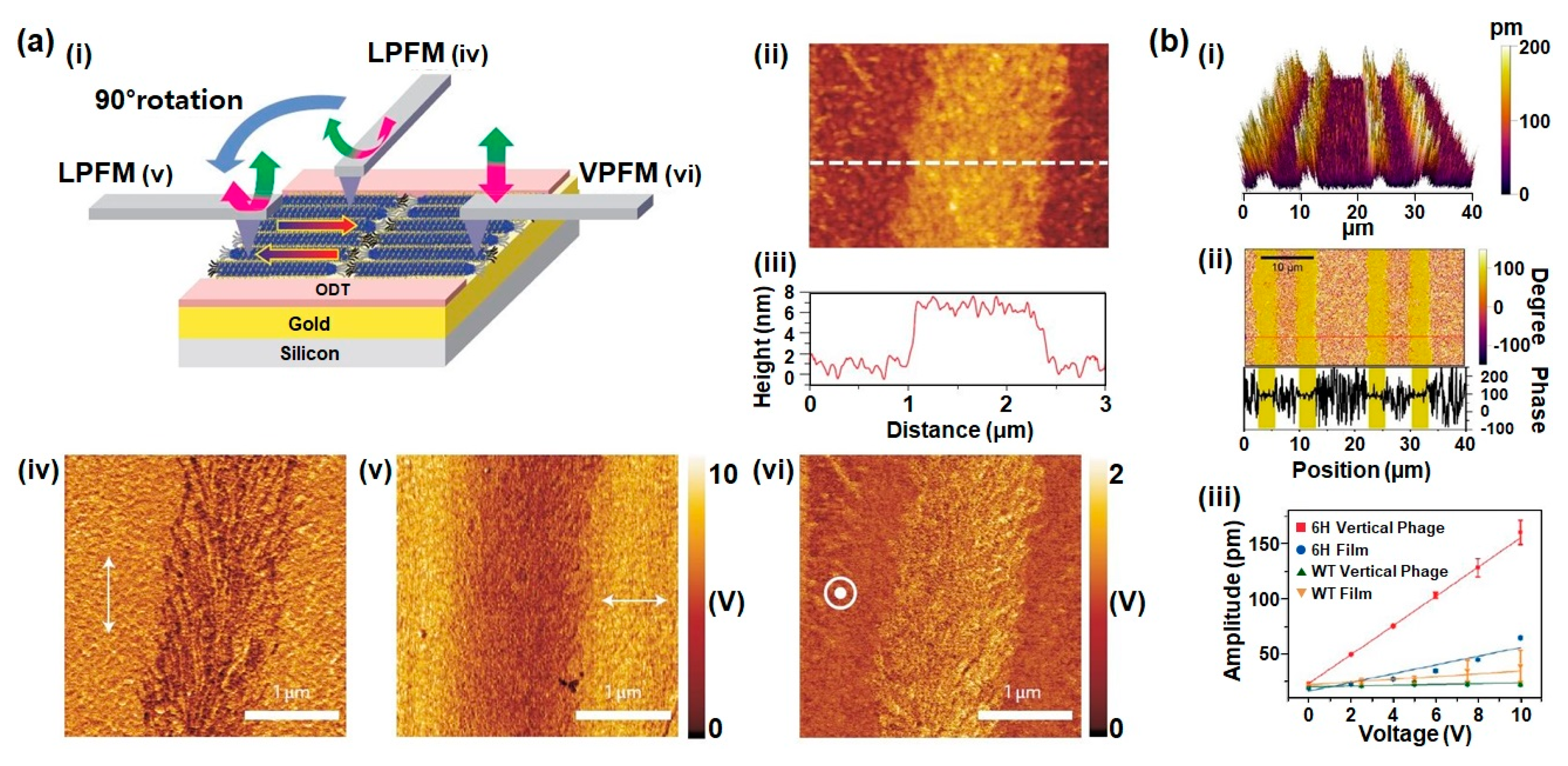 Nanomaterials 10 00093 g004