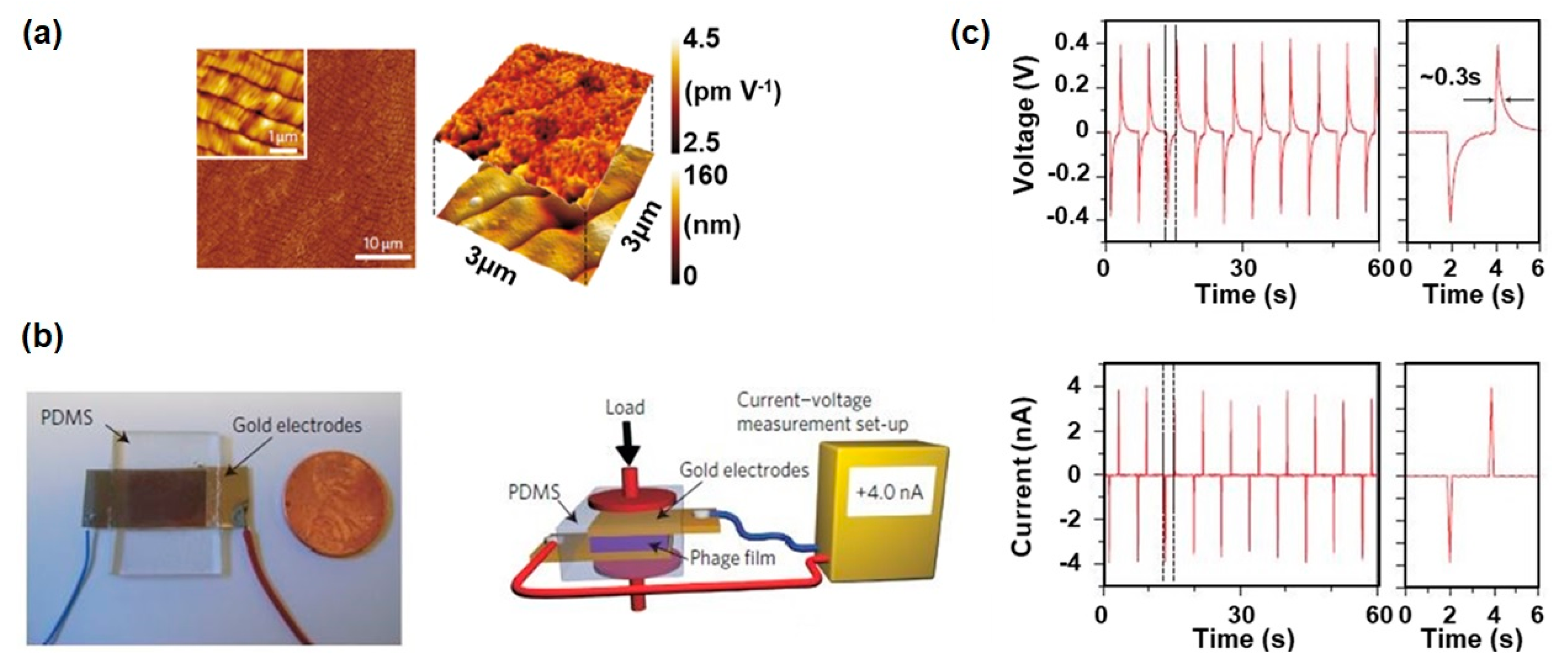 Nanomaterials 10 00093 g005