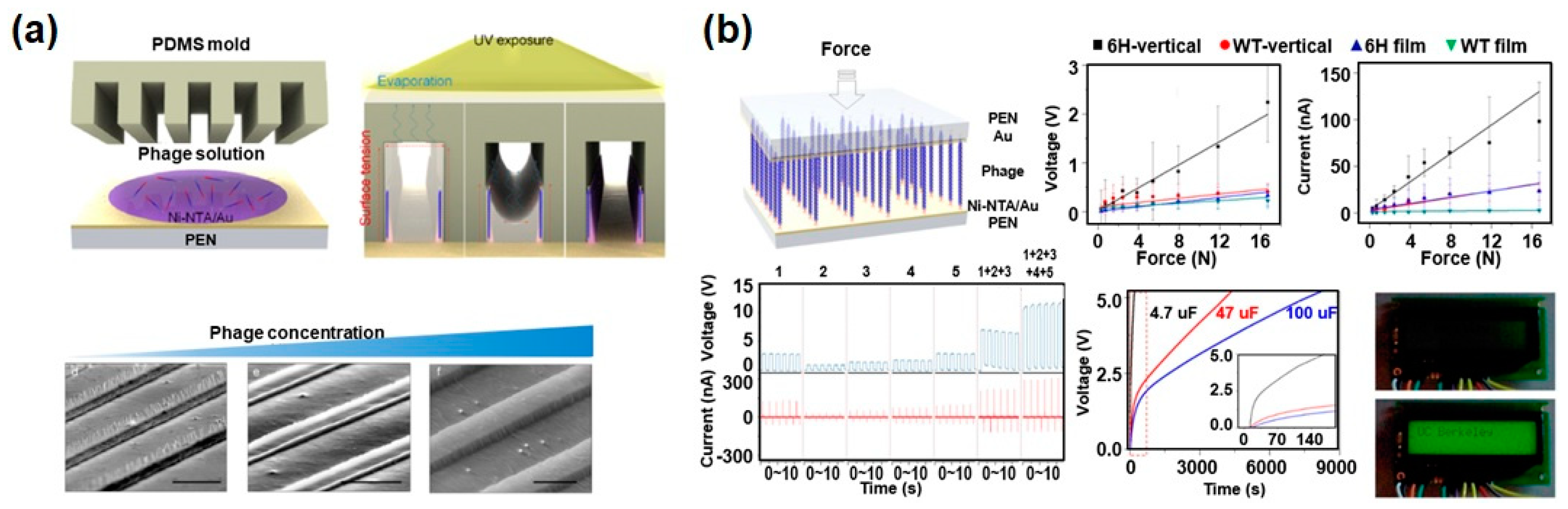 Nanomaterials 10 00093 g008
