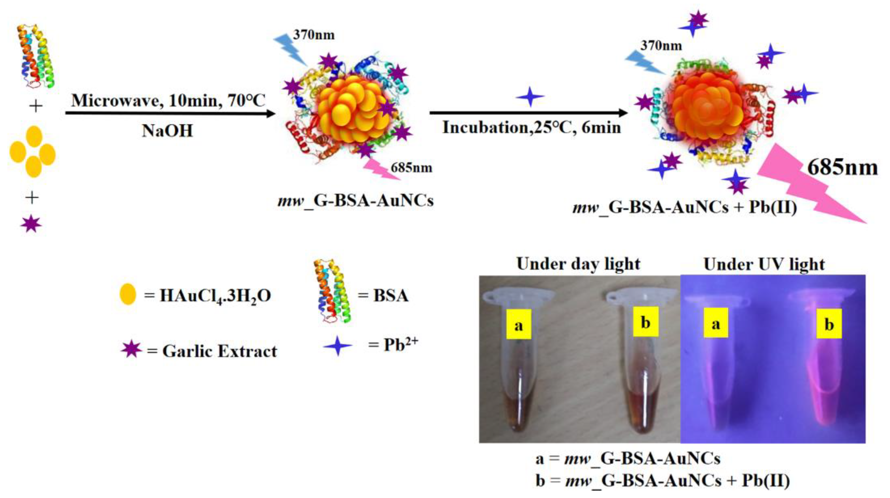 Nanomaterials 10 00094 g001