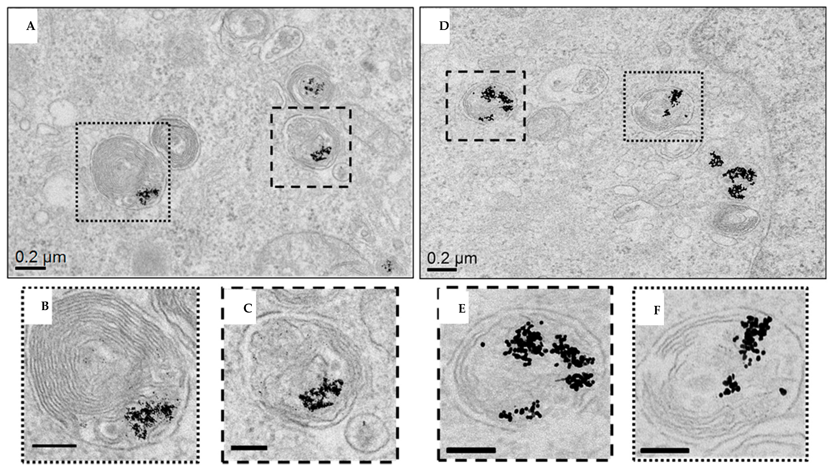 Nanomaterials 10 00099 g005 Nanomaterials 10 00099 g005