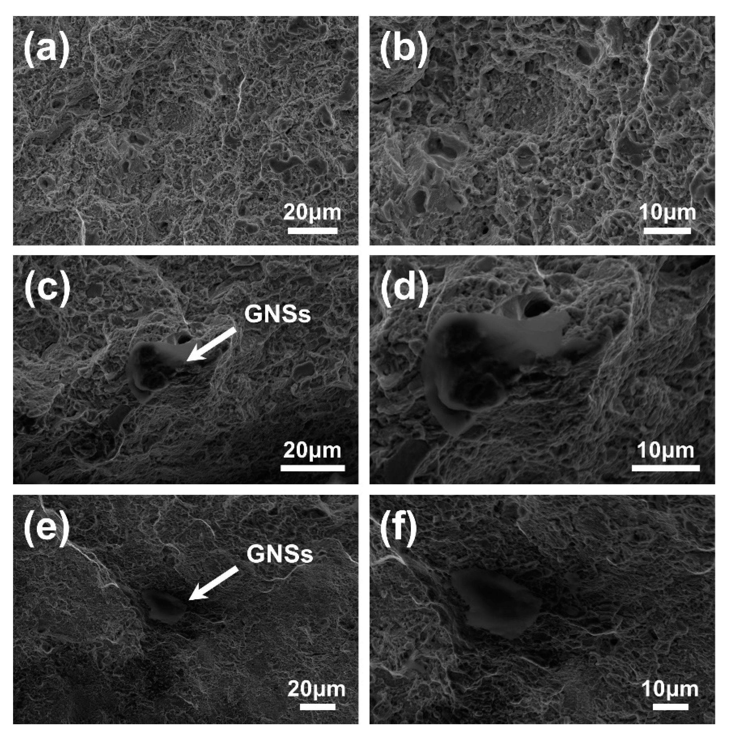 Nanomaterials 10 00100 g006 Nanomaterials 10 00100 g006