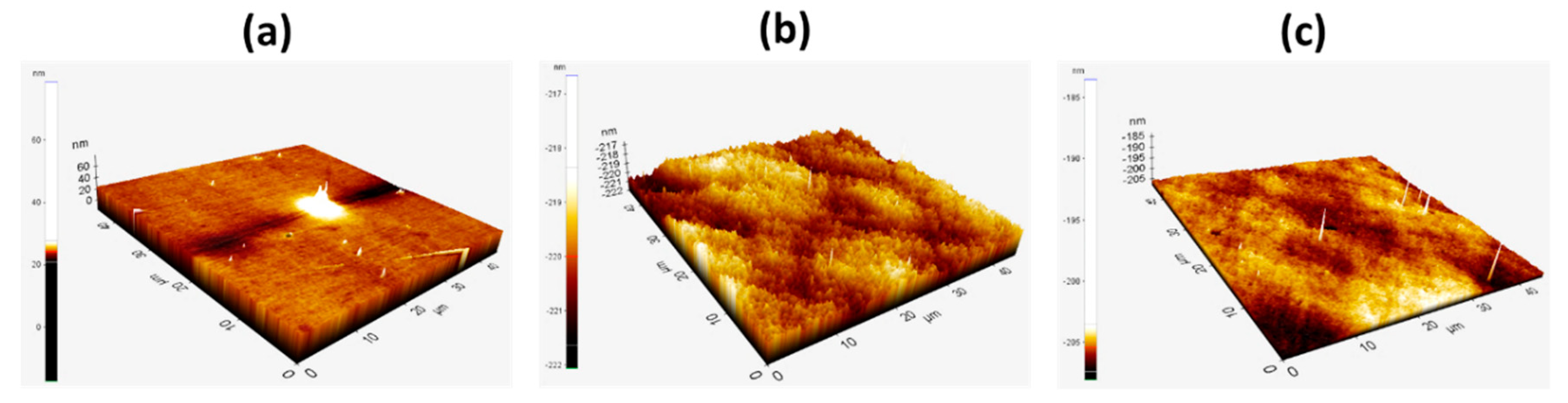 Nanomaterials 10 00101 g003