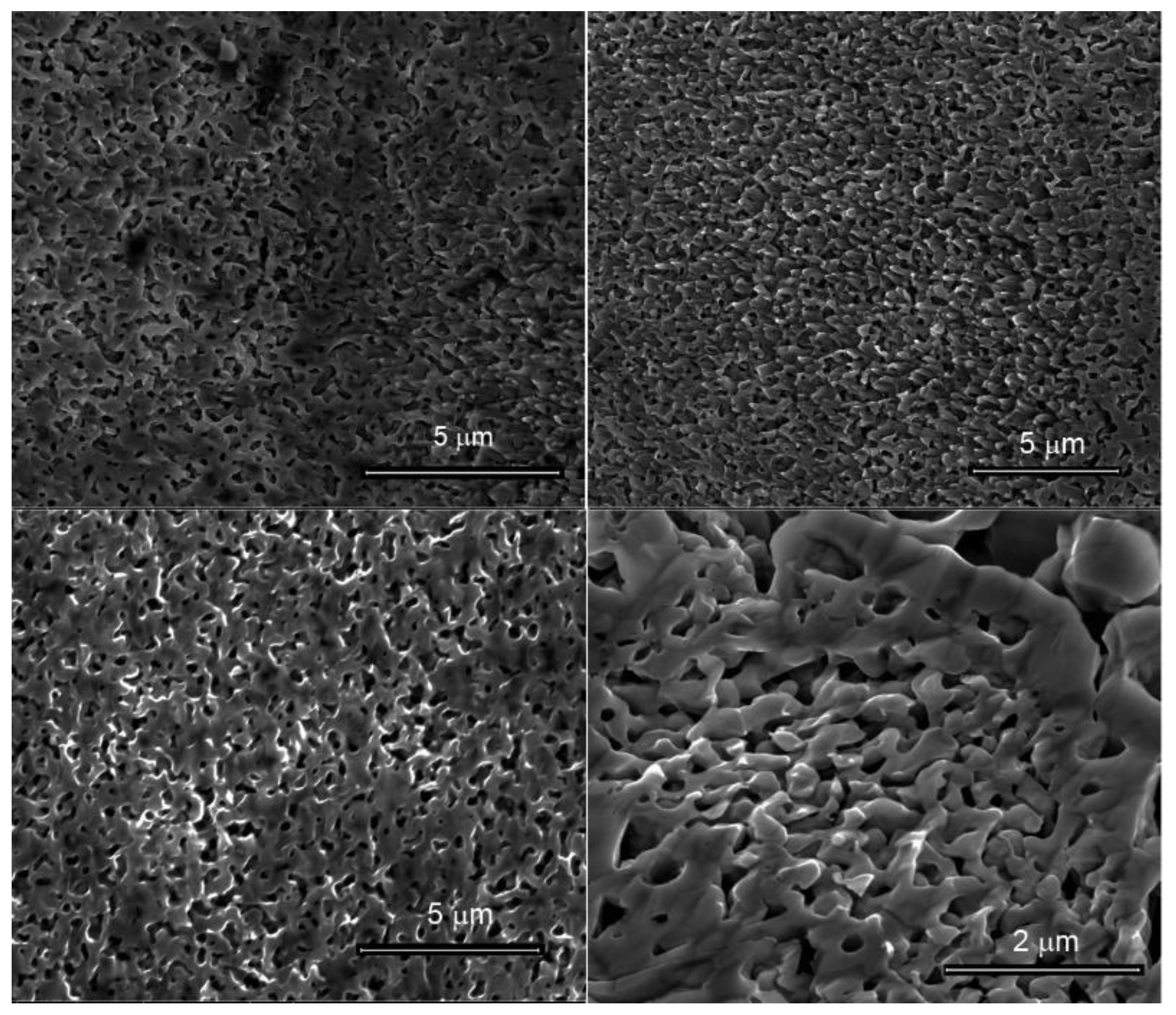 Nanomaterials 10 00102 g001