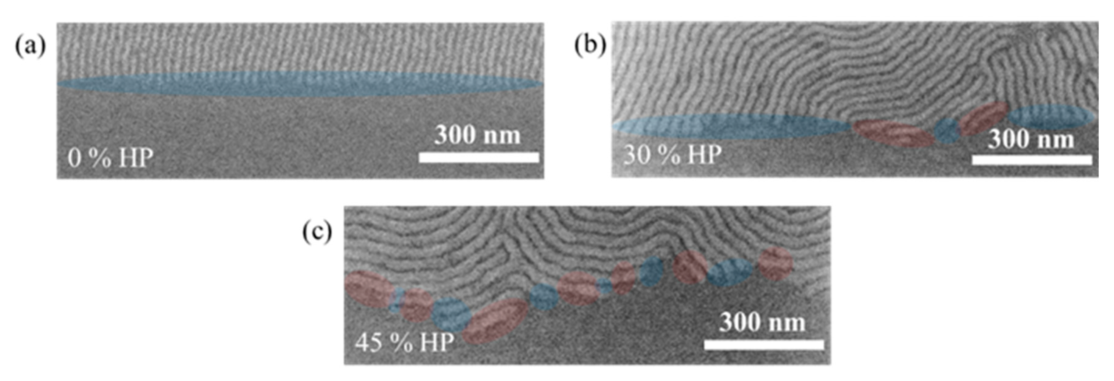 Nanomaterials 10 00103 g0a4 Nanomaterials 10 00103 g0a4