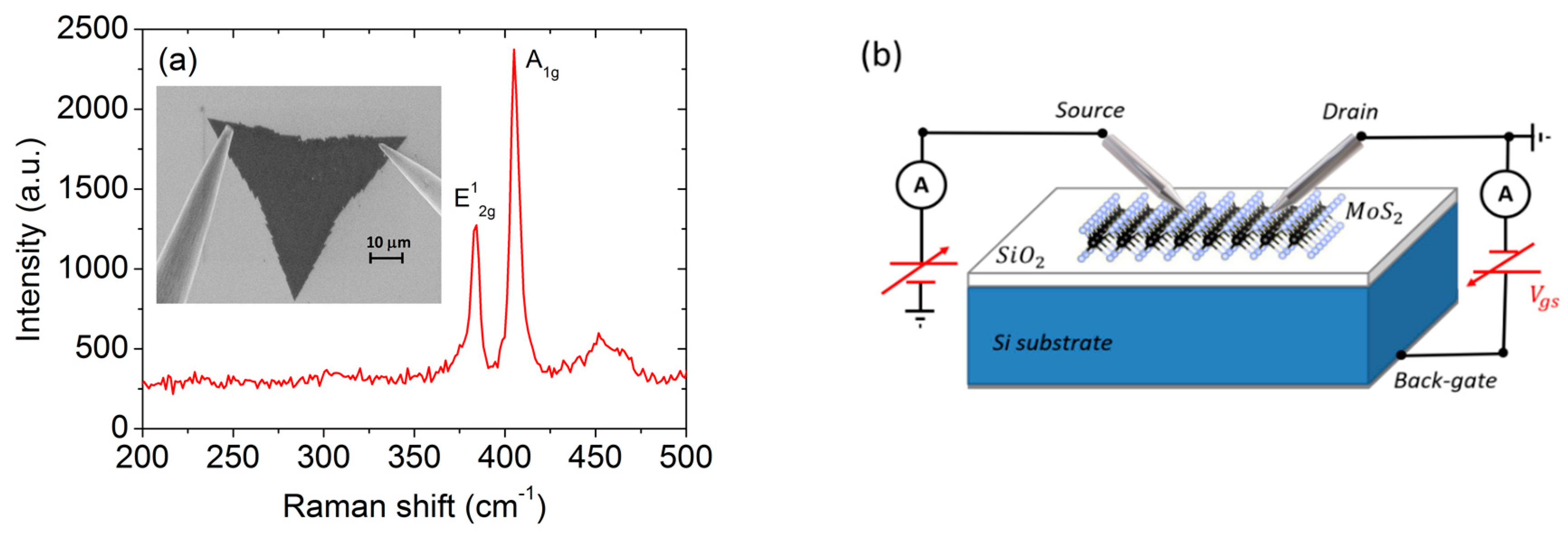 Nanomaterials 10 00106 g001