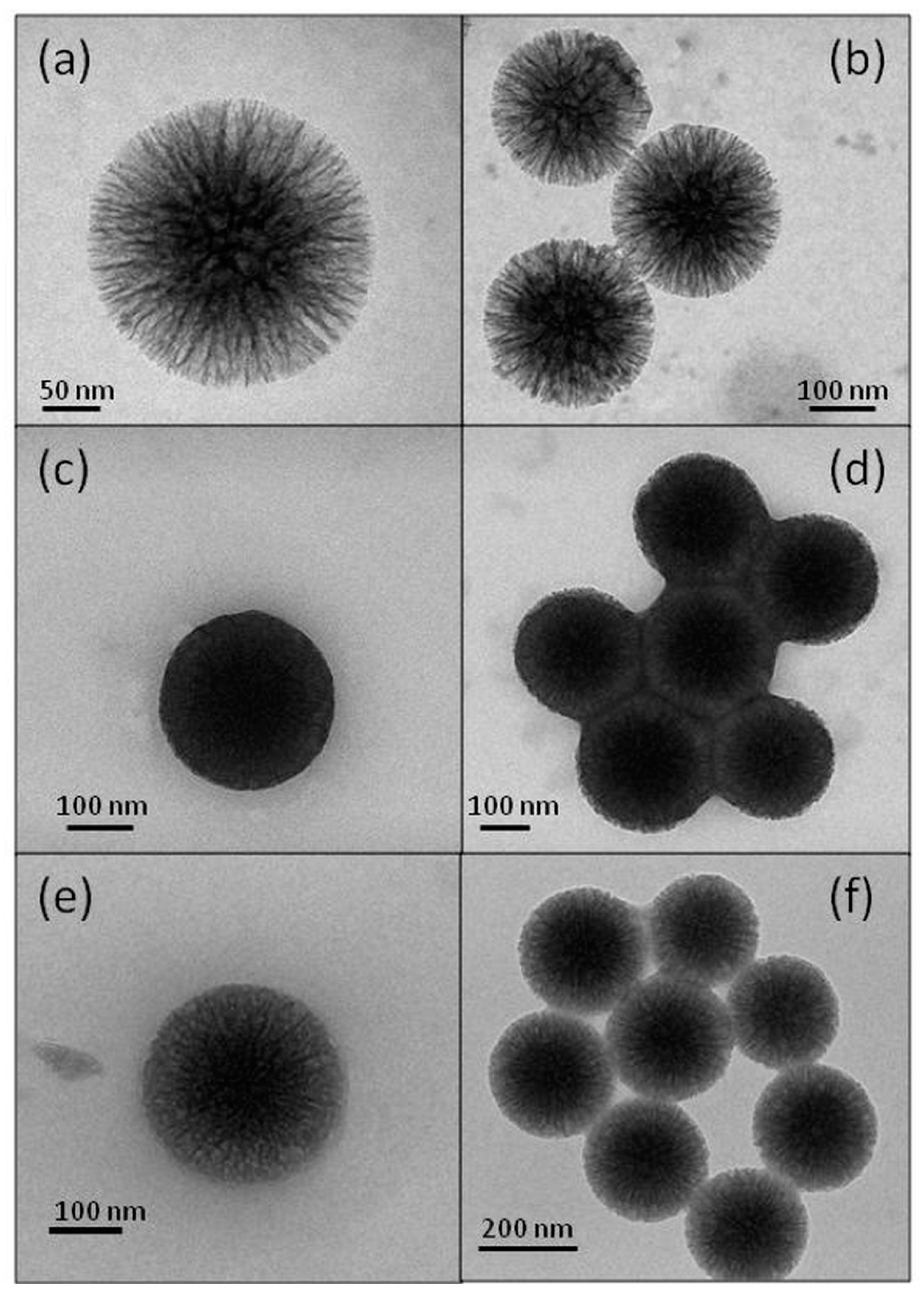 Nanomaterials 10 00108 g004 Nanomaterials 10 00108 g004