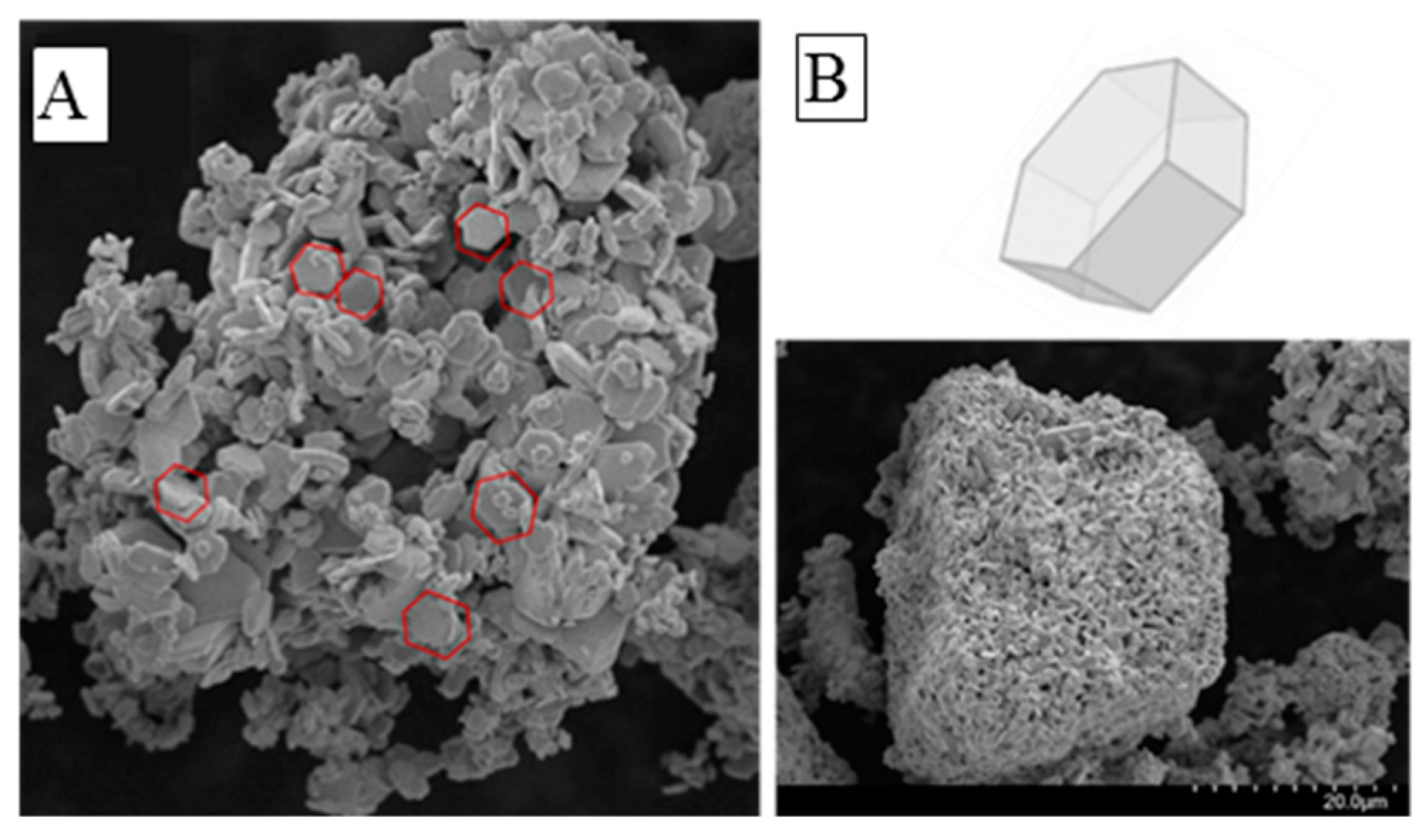 Nanomaterials 10 00115 g002