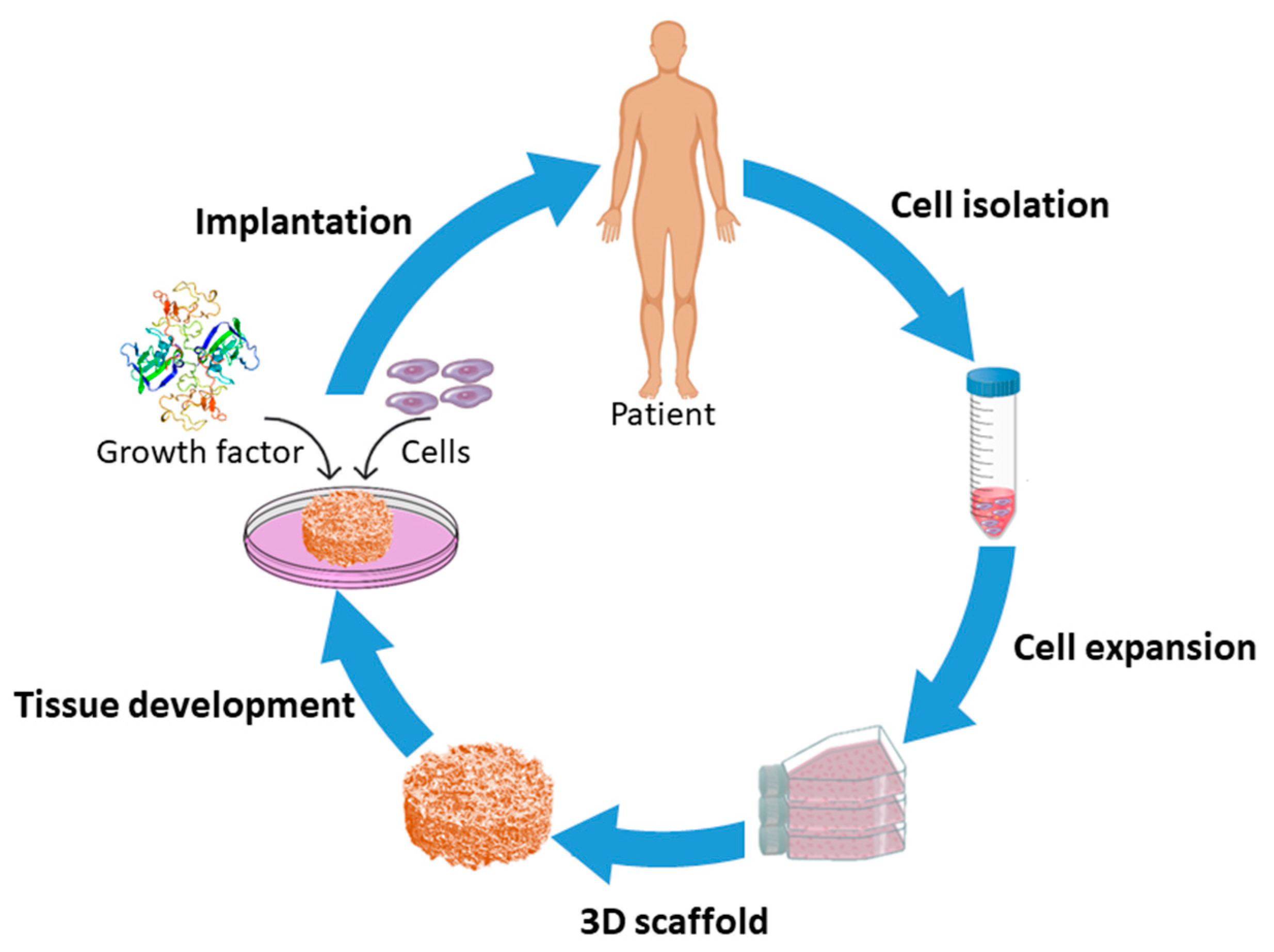 Nanomaterials | Free Full-Text | Fabrication and Plasma Modification of Nanofibrous Tissue Engineering Scaffolds