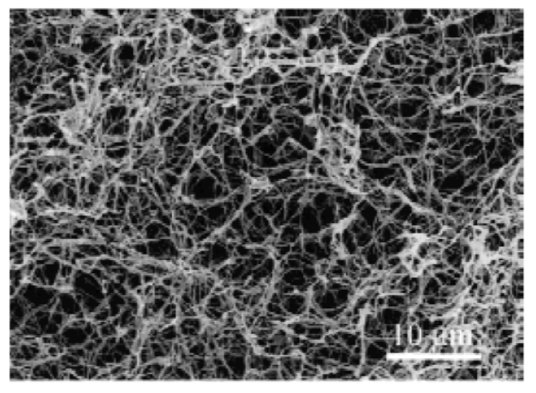 Nanomaterials 10 00119 g004 Nanomaterials 10 00119 g004