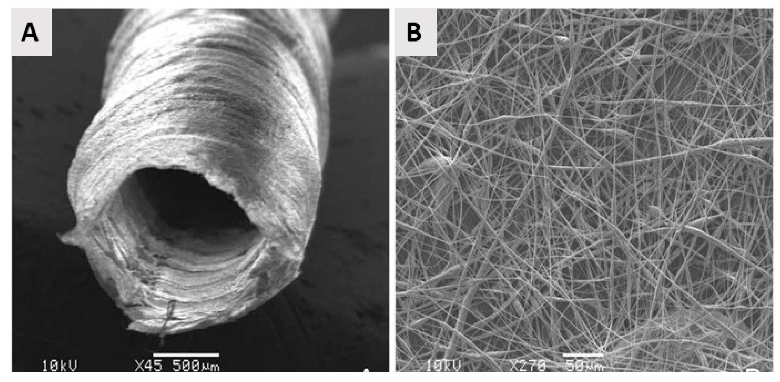 Nanomaterials 10 00119 g010 Nanomaterials 10 00119 g010