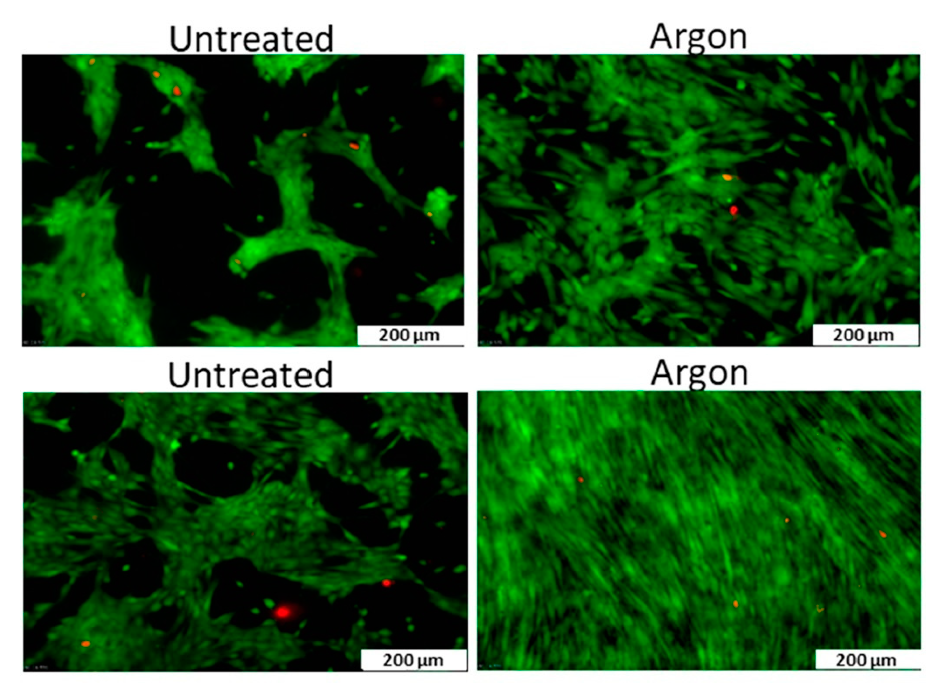 Nanomaterials 10 00119 g014 Nanomaterials 10 00119 g014