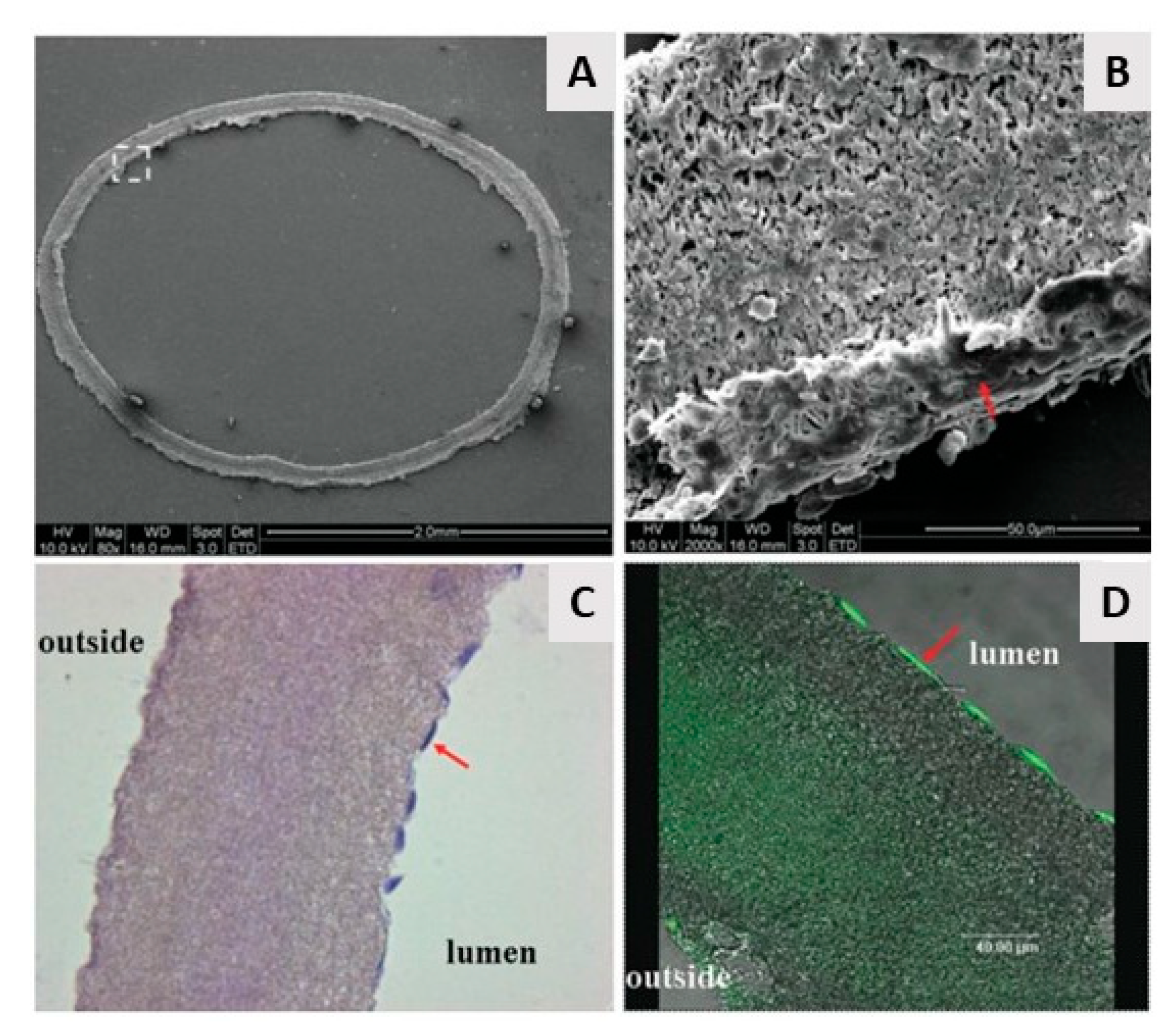 Nanomaterials 10 00119 g020 Nanomaterials 10 00119 g020