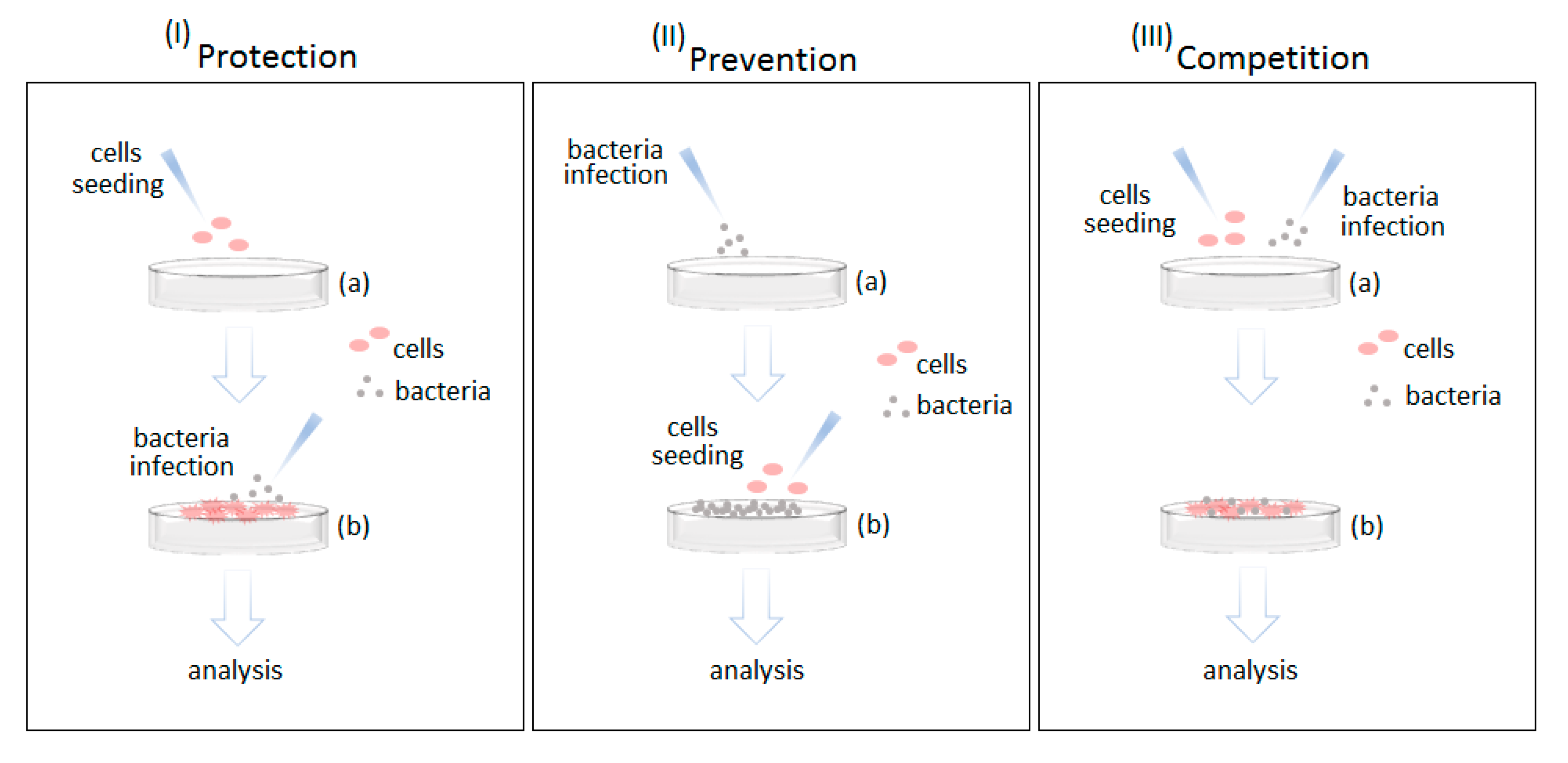 Nanomaterials 10 00120 g001