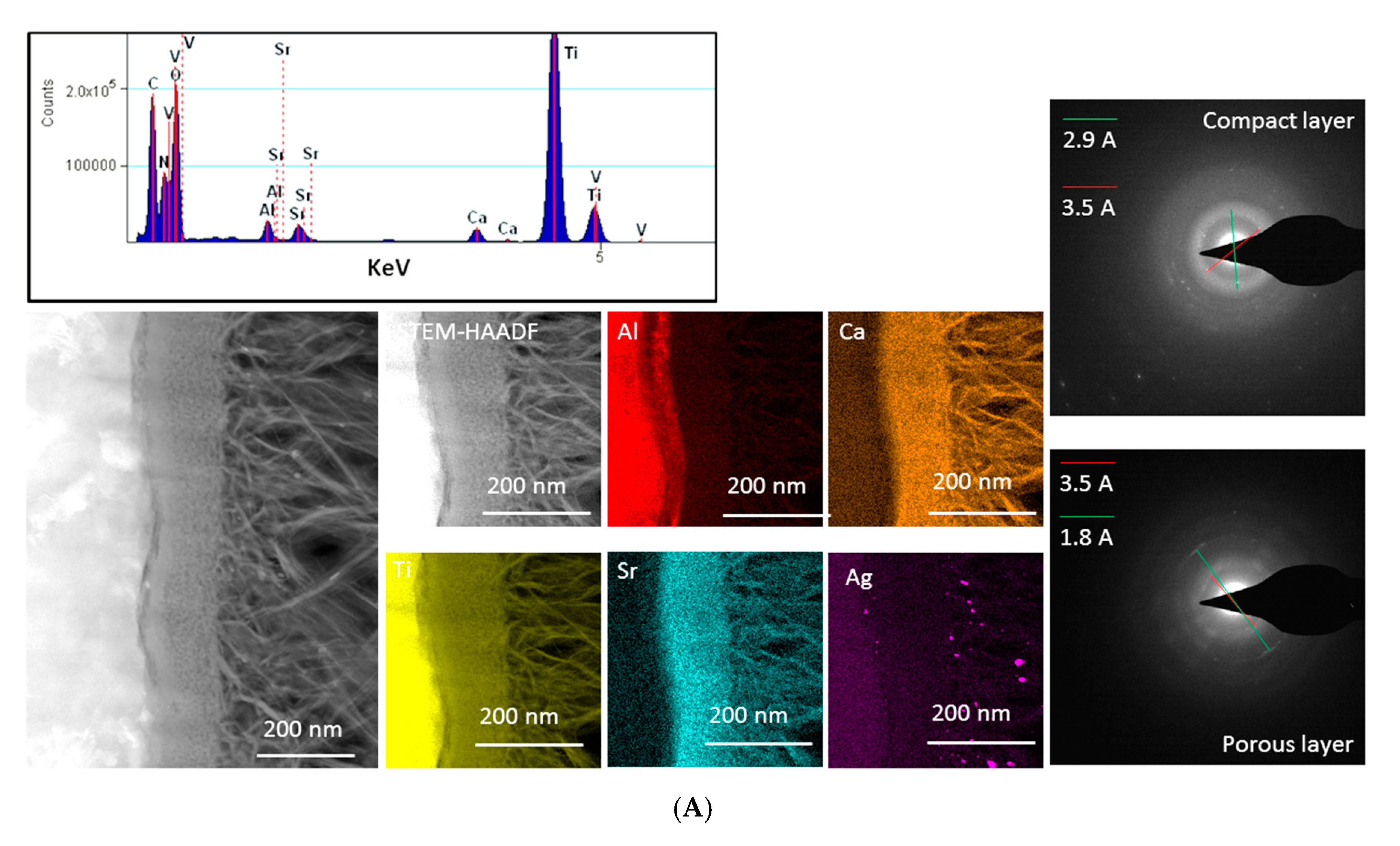 Nanomaterials 10 00120 g002a