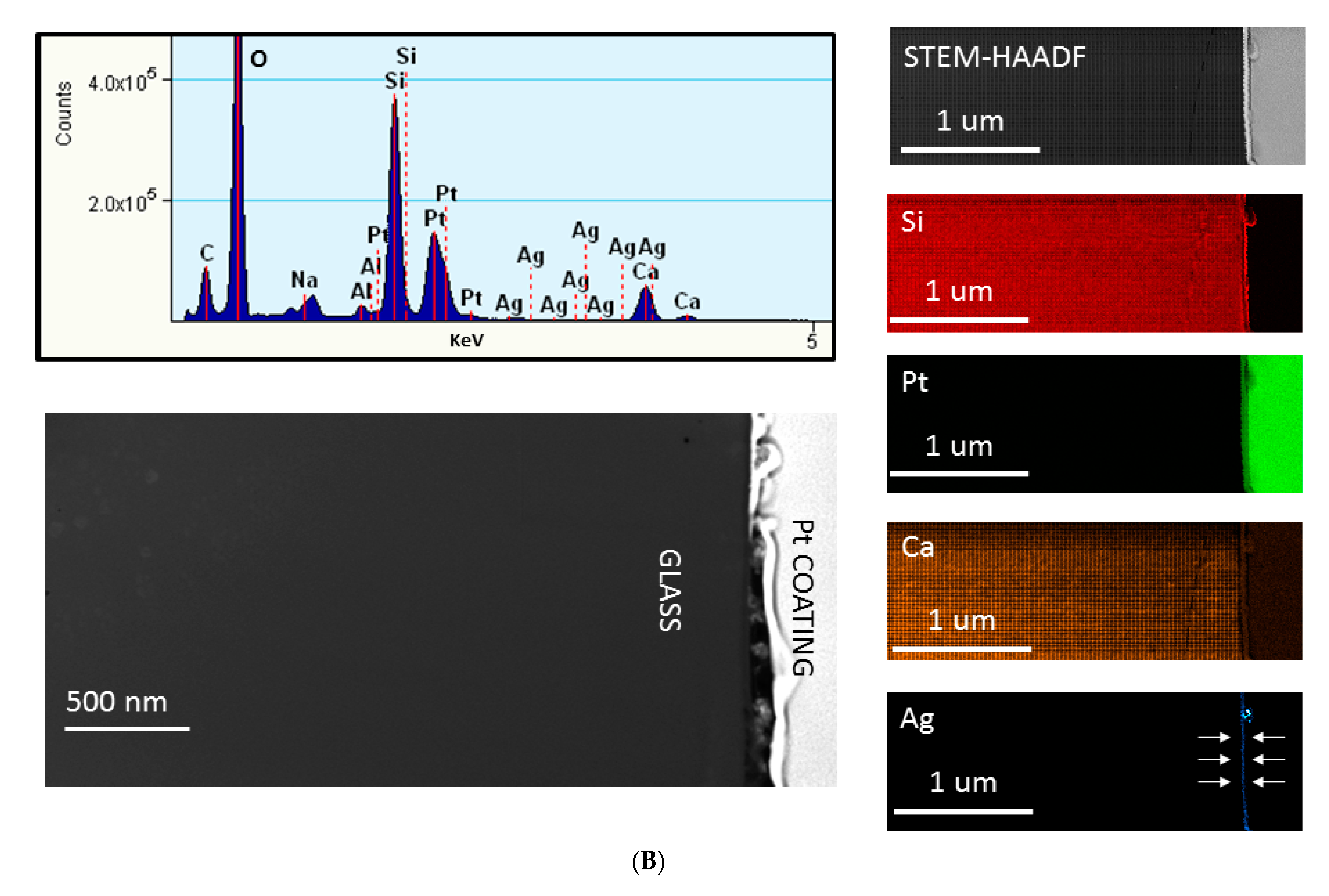 Nanomaterials 10 00120 g002b